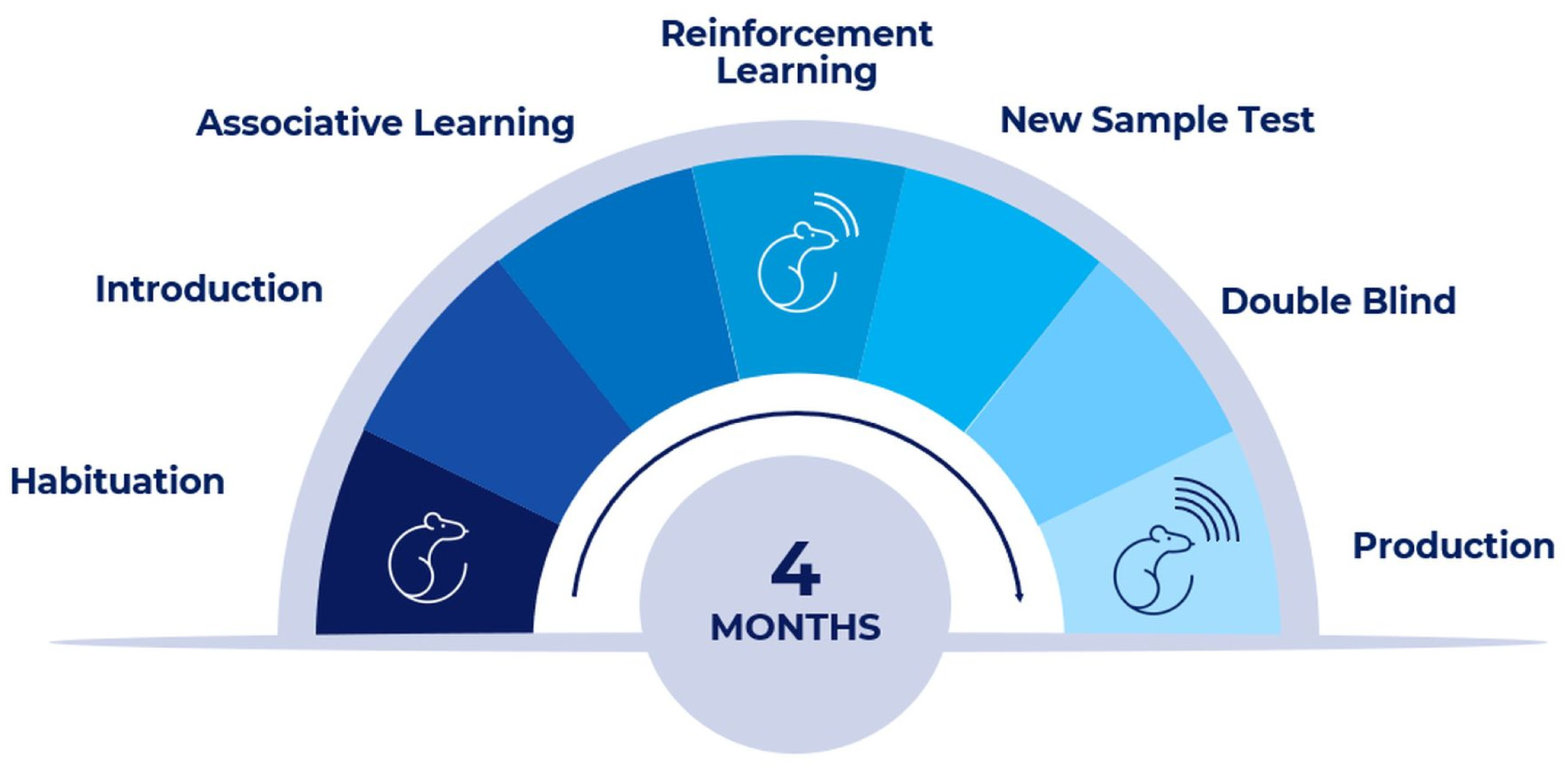 Biosensors 13 00627 g001 Biosensors 13 00627 g001