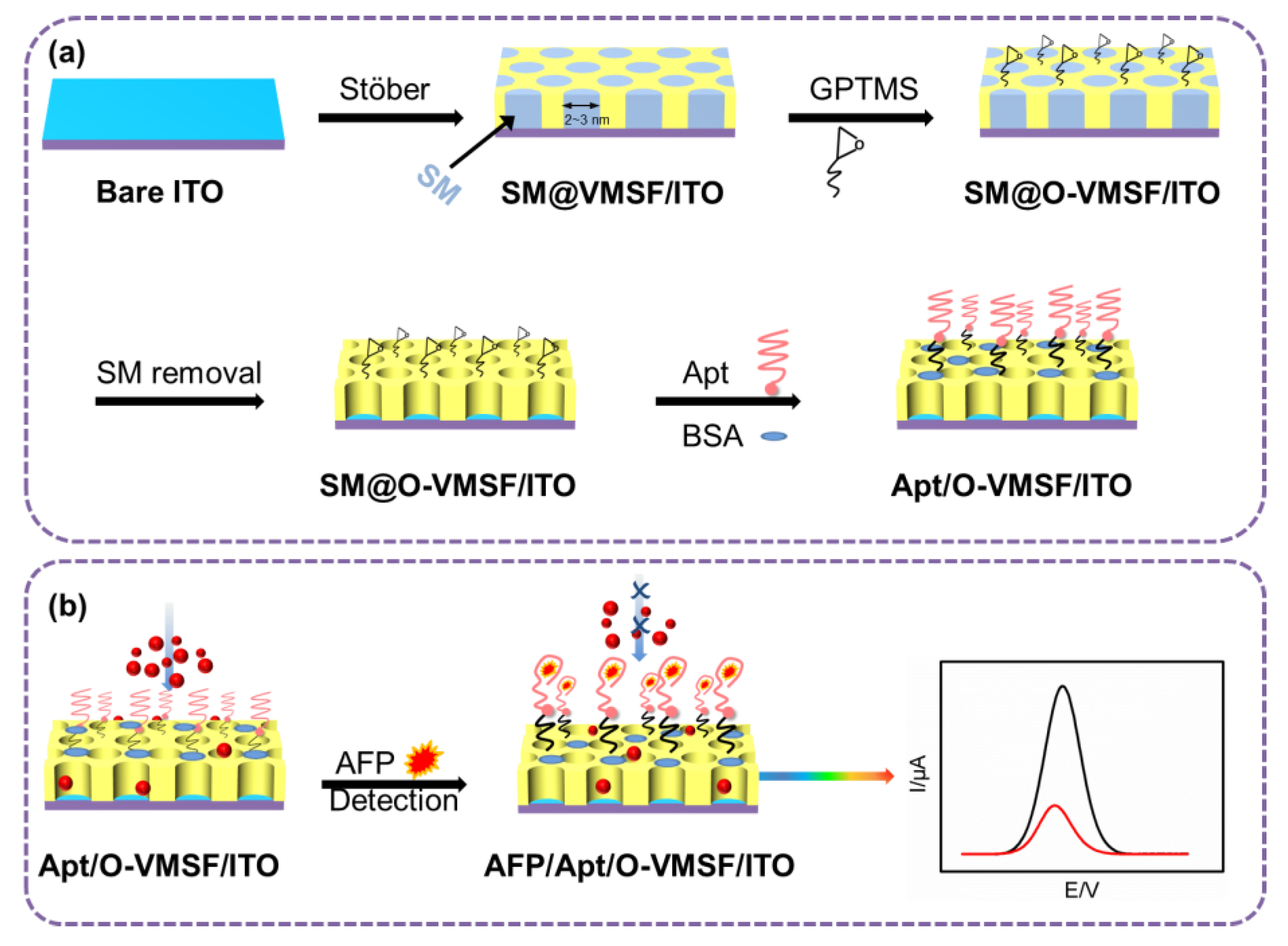 Biosensors 13 00628 g001