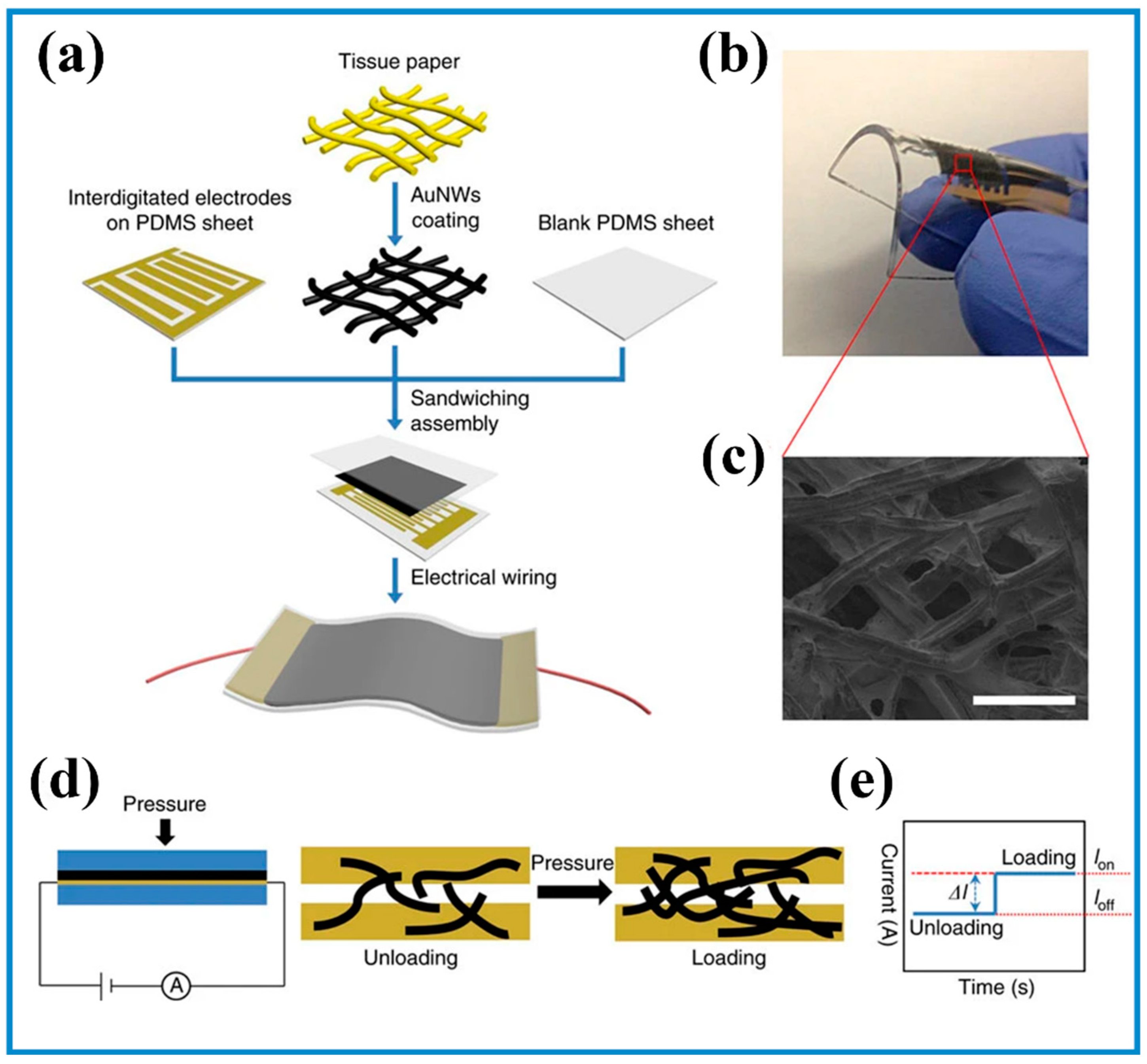 Biosensors 13 00630 g004 Biosensors 13 00630 g004