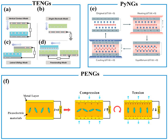 Biosensors 13 00630 g007