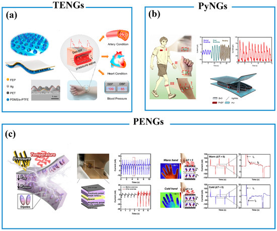Biosensors 13 00630 g008