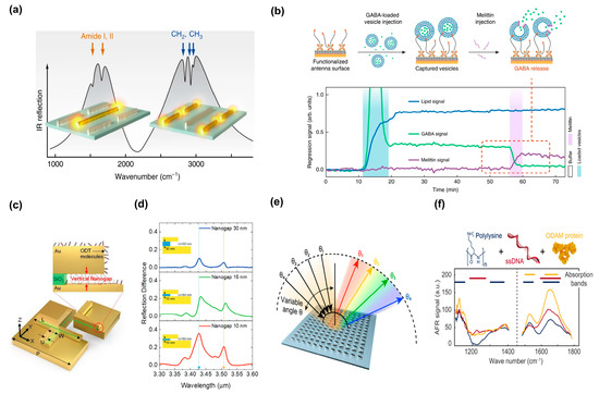 Biosensors 13 00631 g010