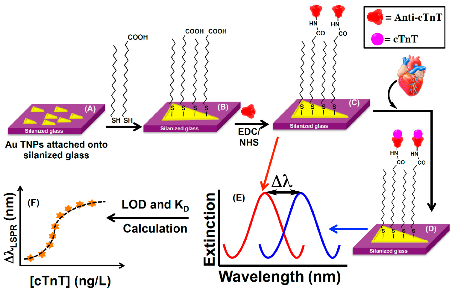 Biosensors 13 00632 g001