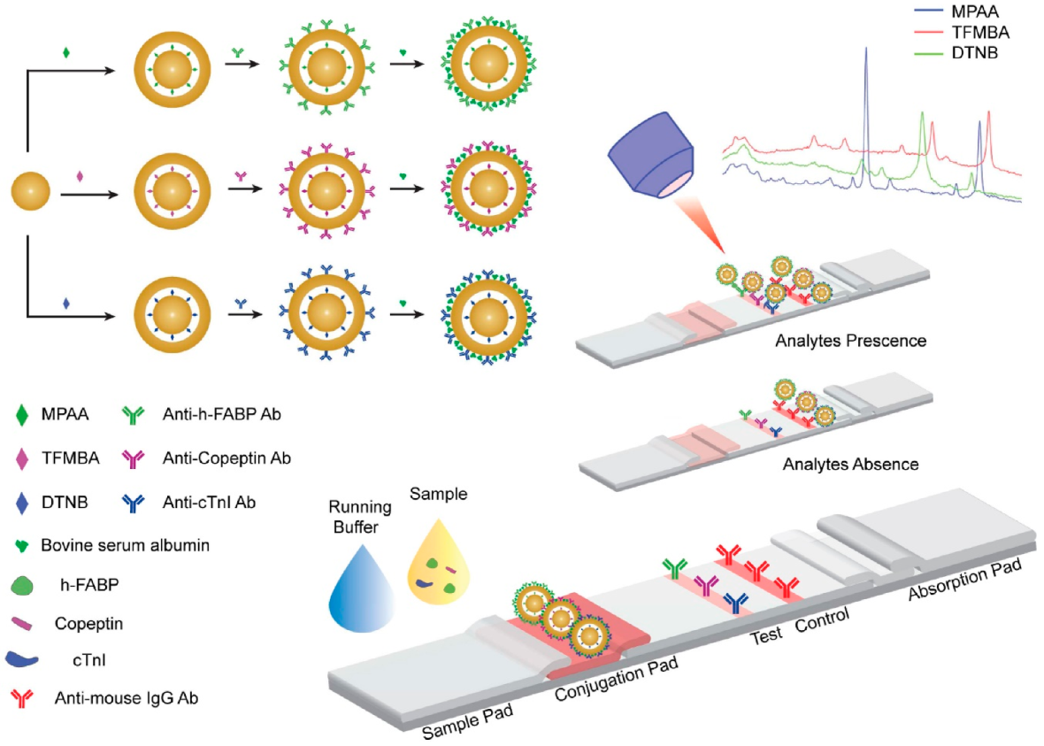 Biosensors 13 00632 g003