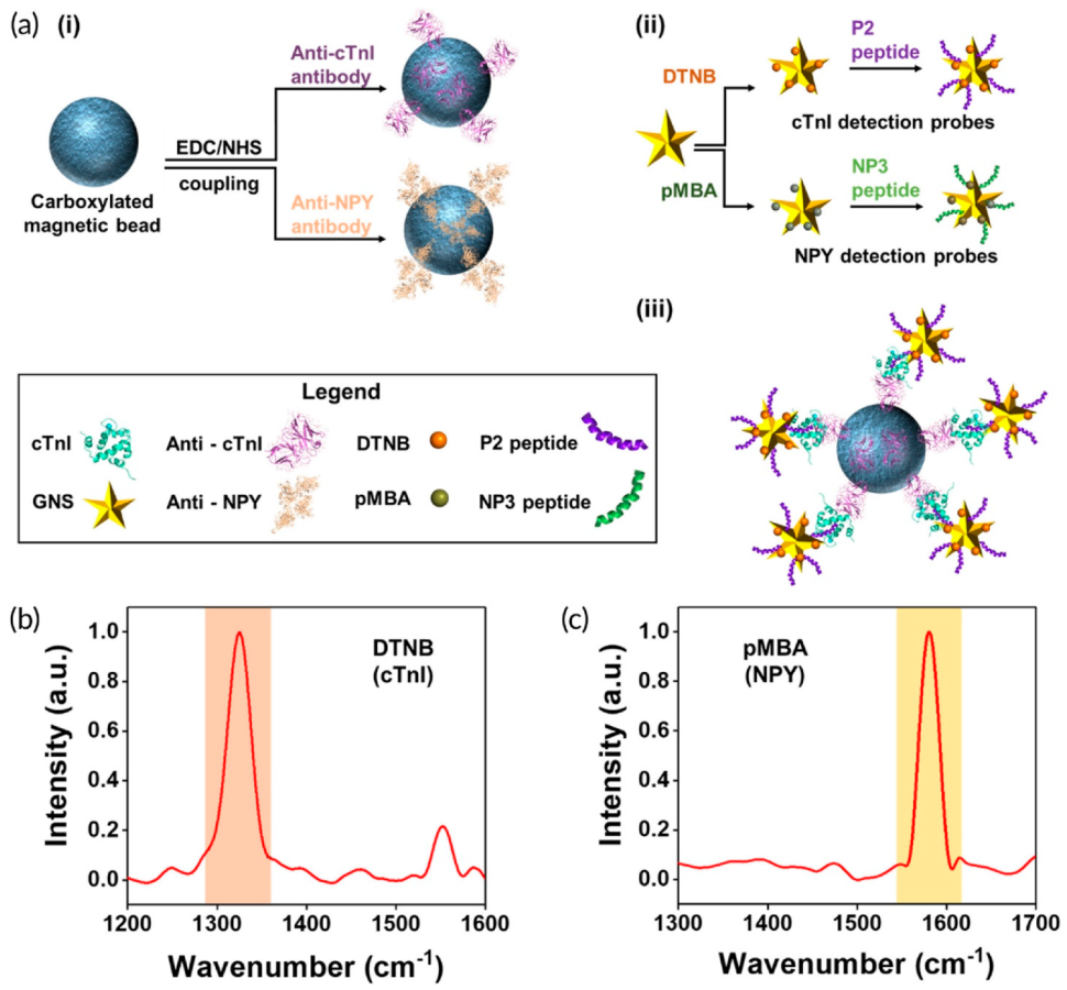 Biosensors 13 00632 g004