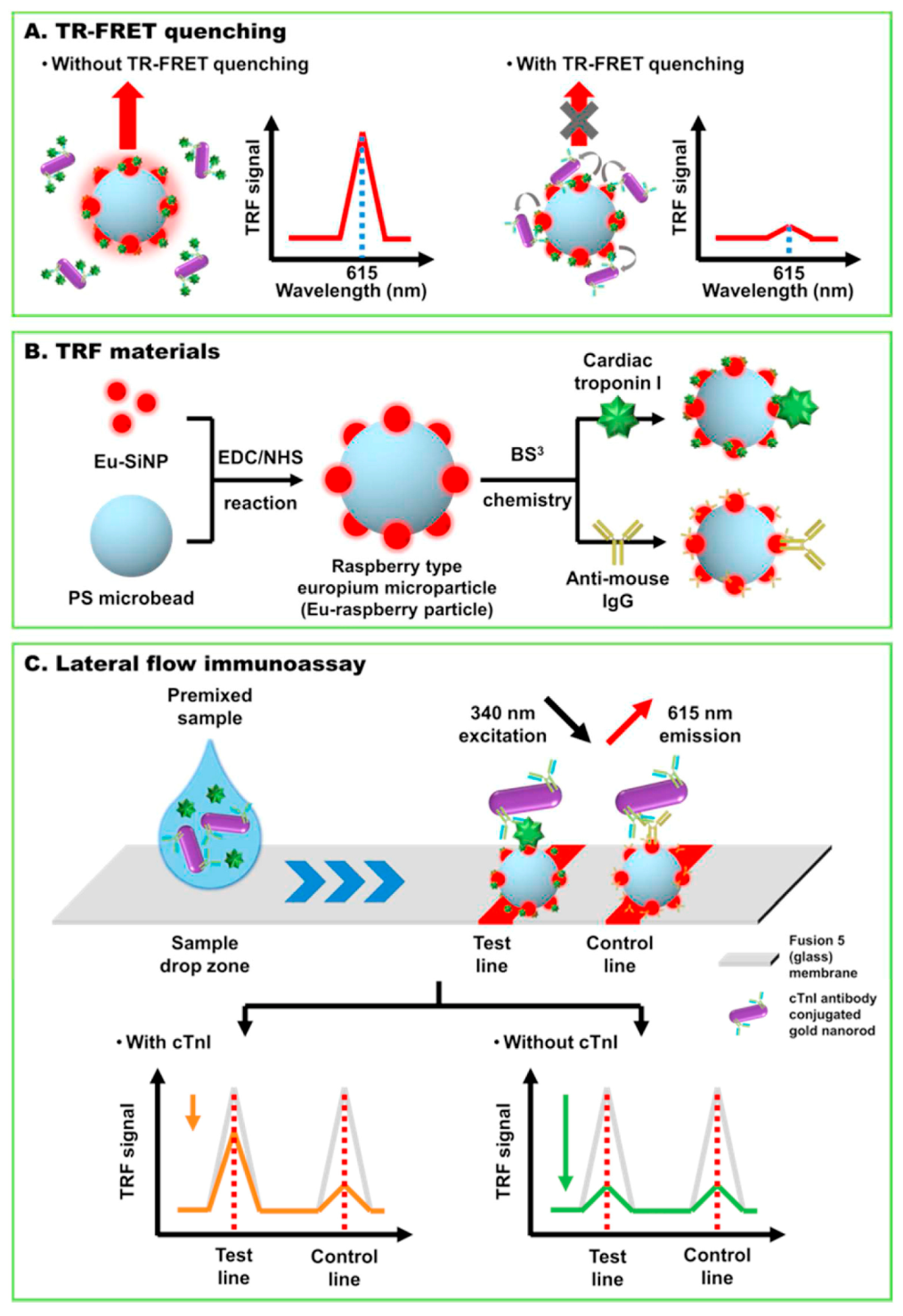 Biosensors 13 00632 g005