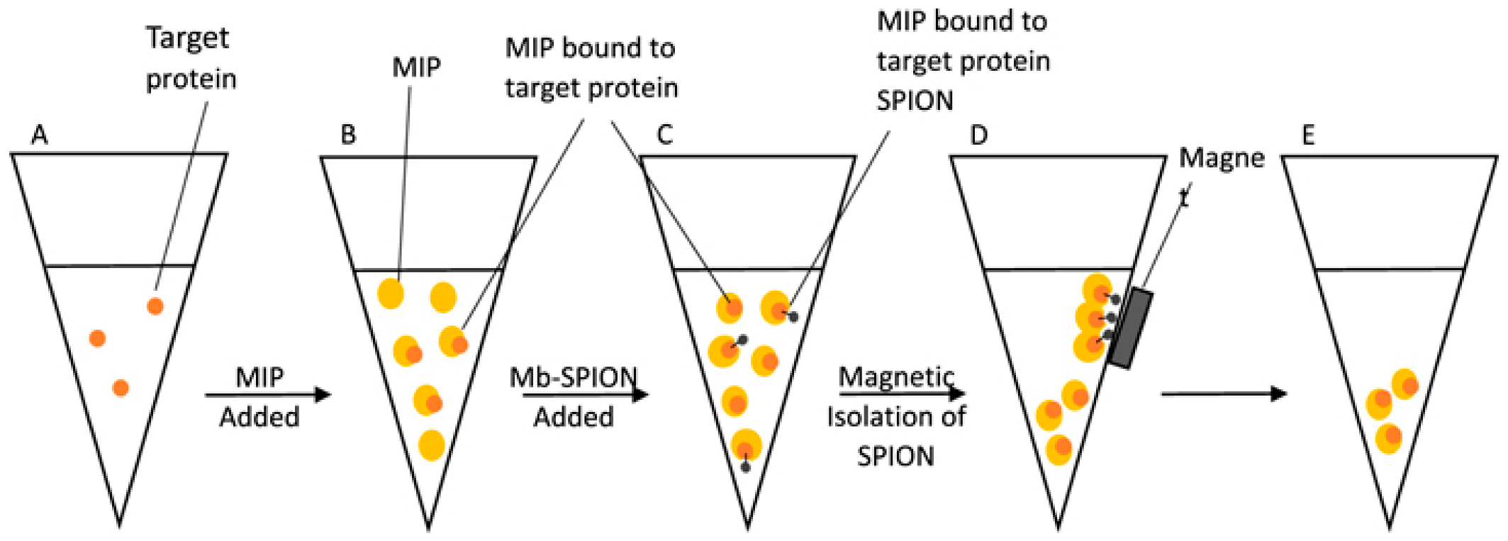 Biosensors 13 00632 g006
