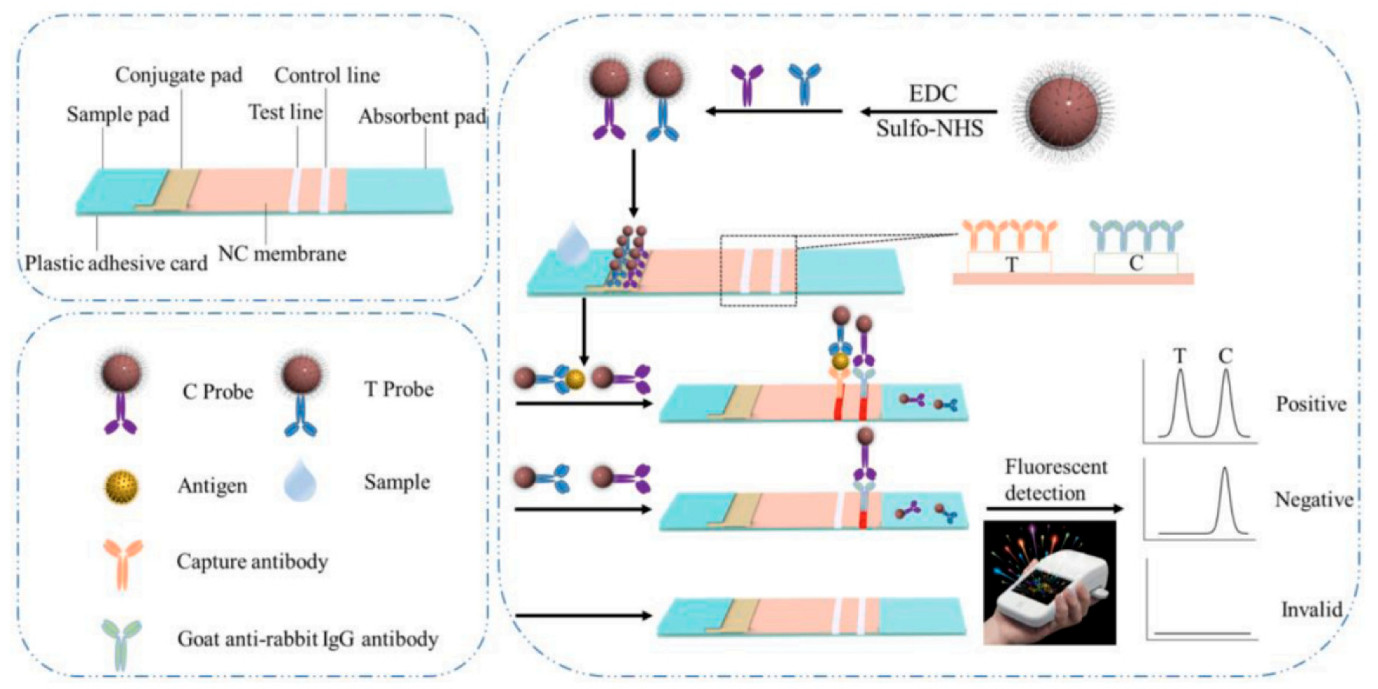 Biosensors 13 00632 g008