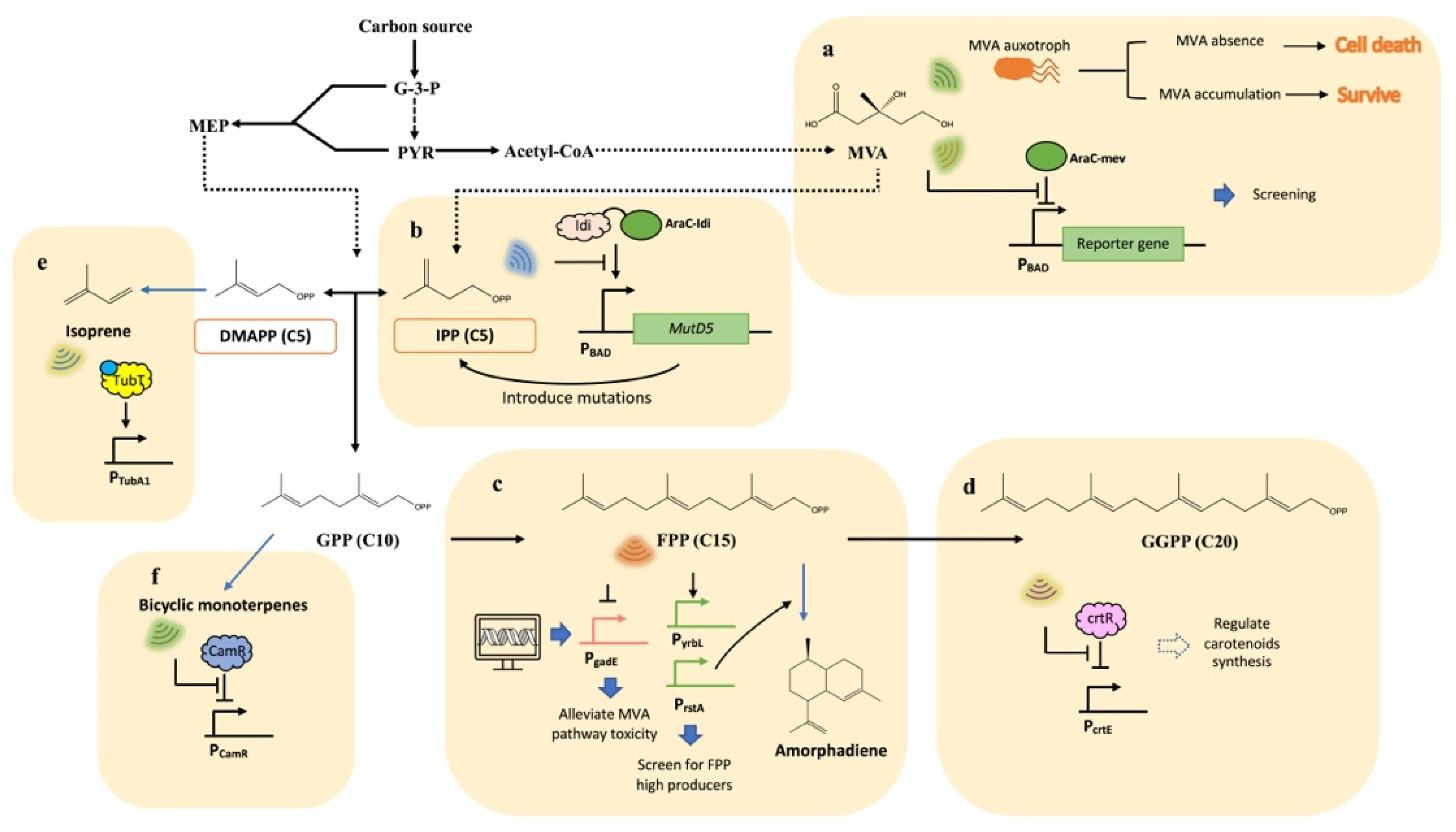 Biosensors 13 00633 g002