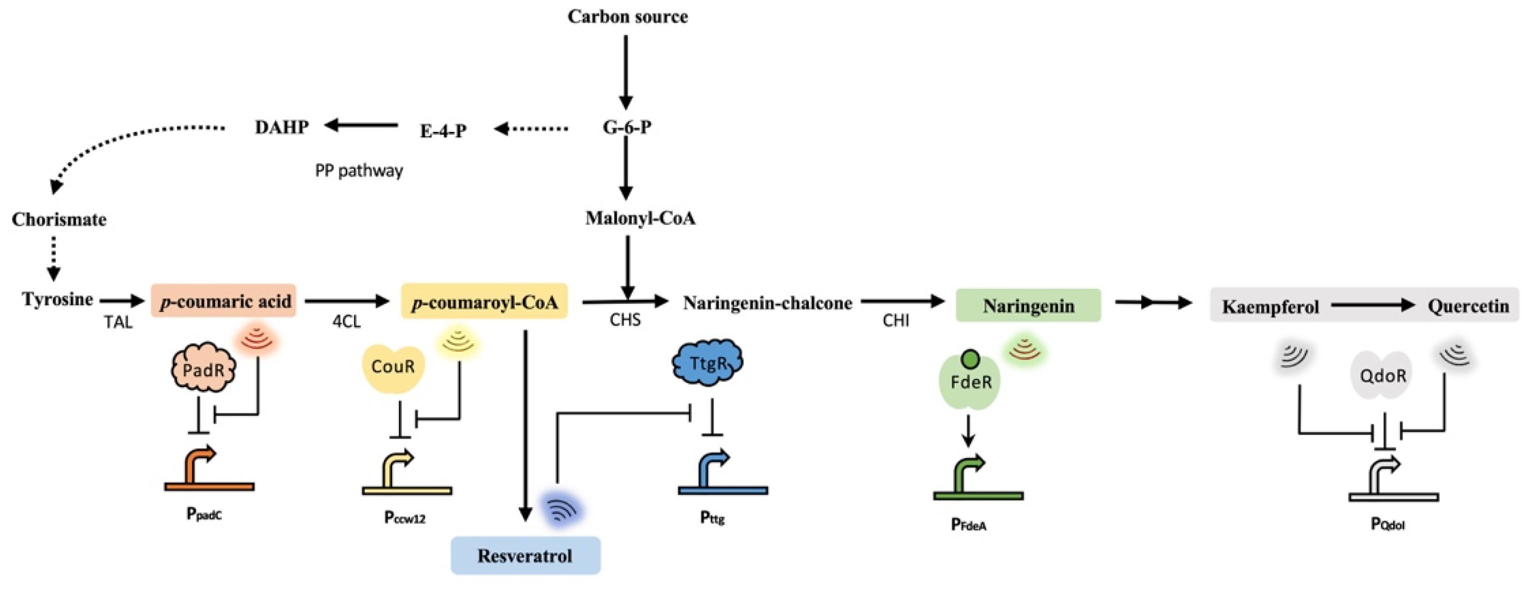 Biosensors 13 00633 g003