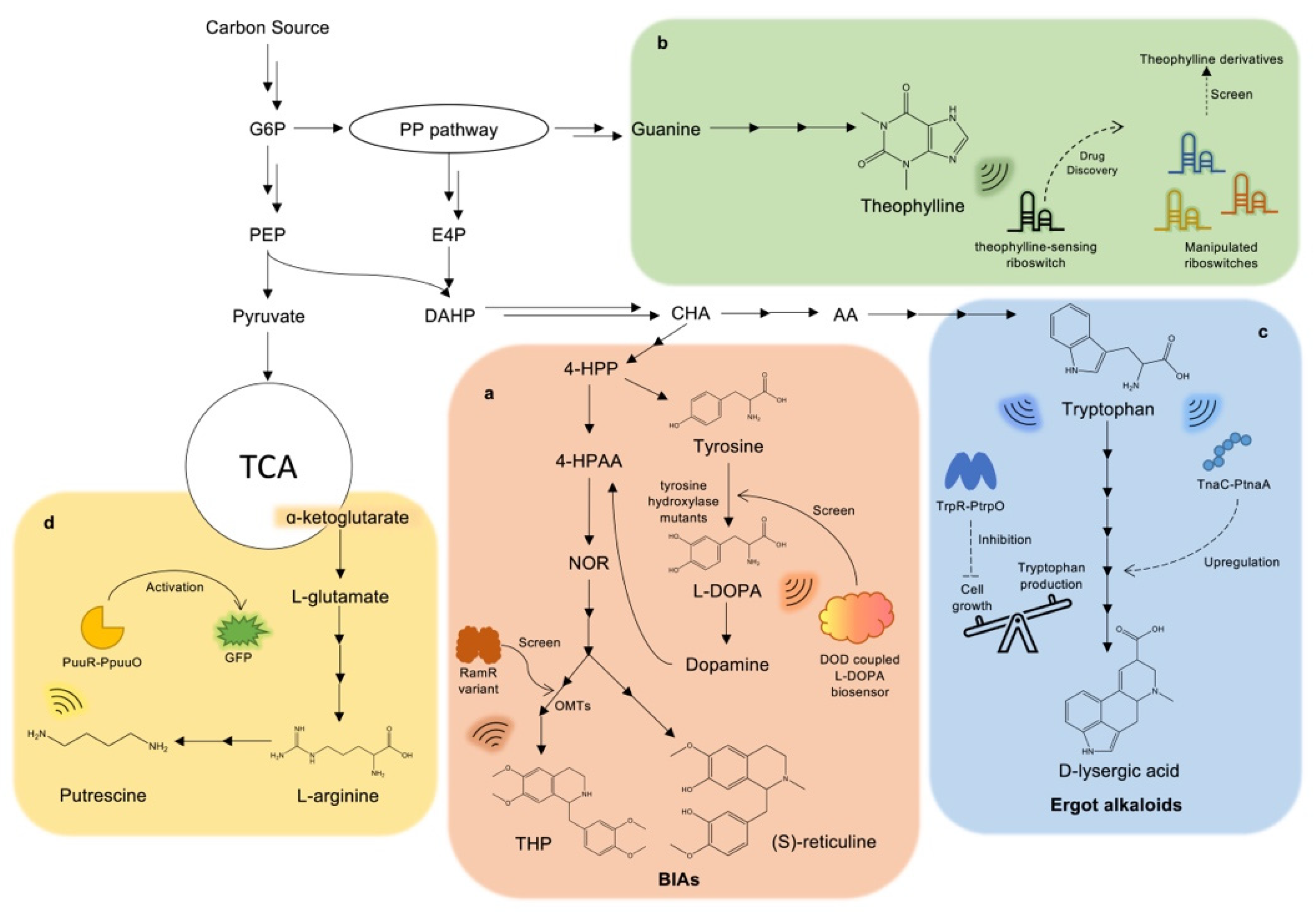 Biosensors 13 00633 g004