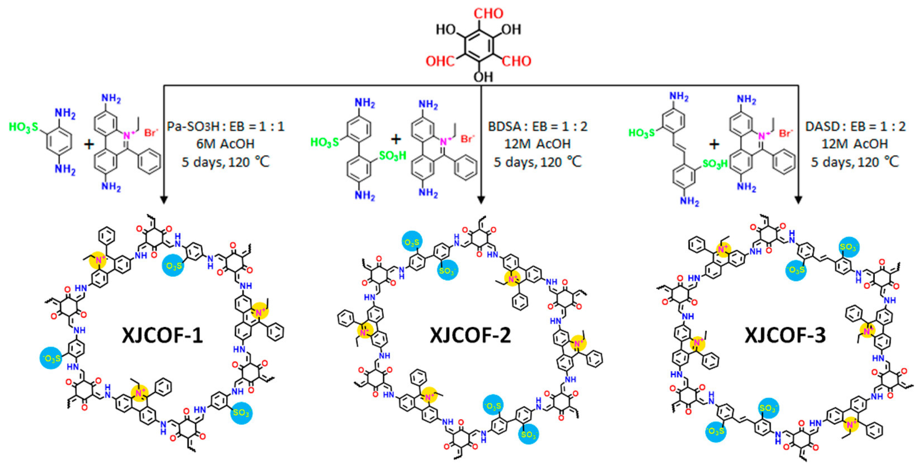 Biosensors 13 00636 g008