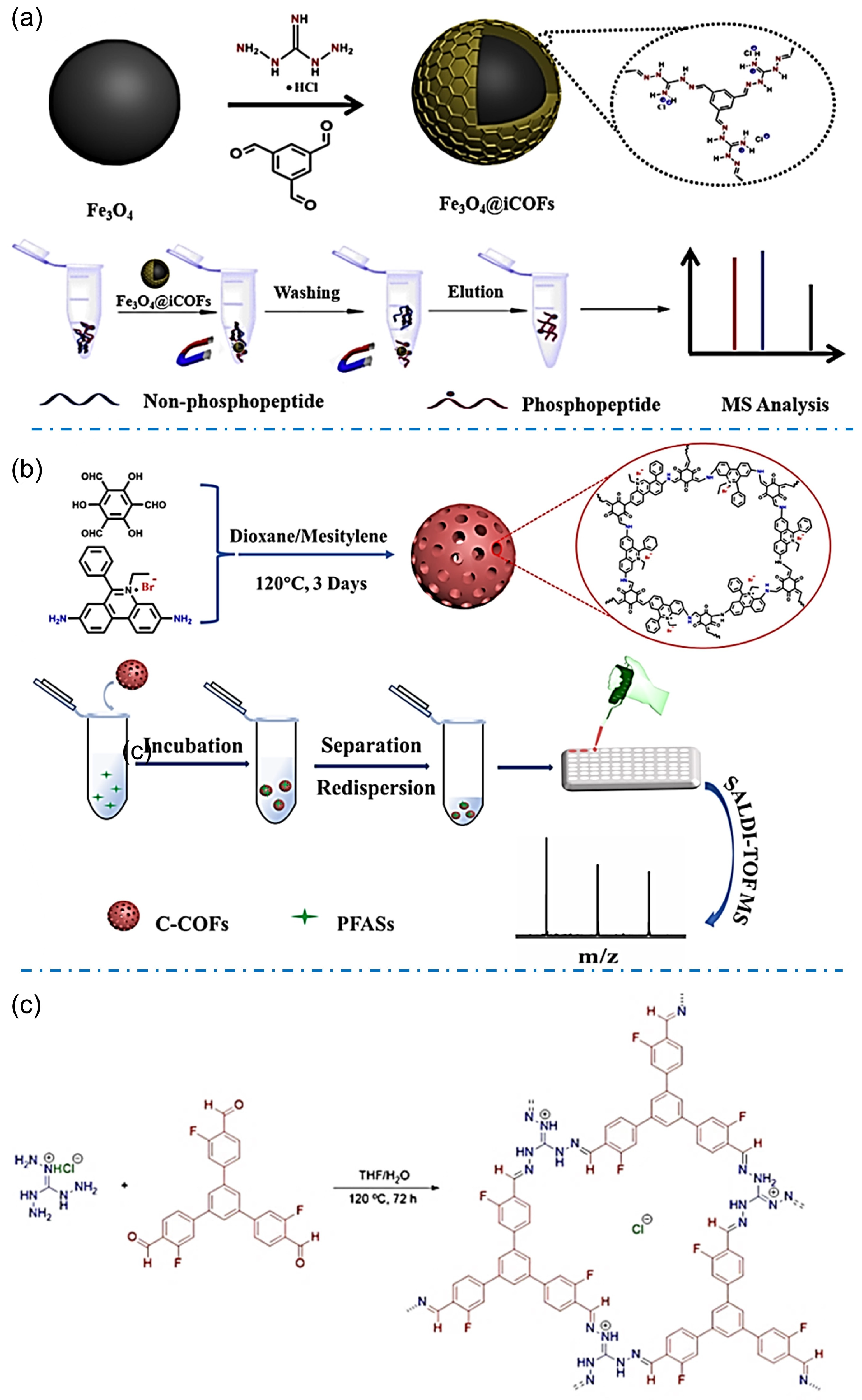 Biosensors 13 00636 g009