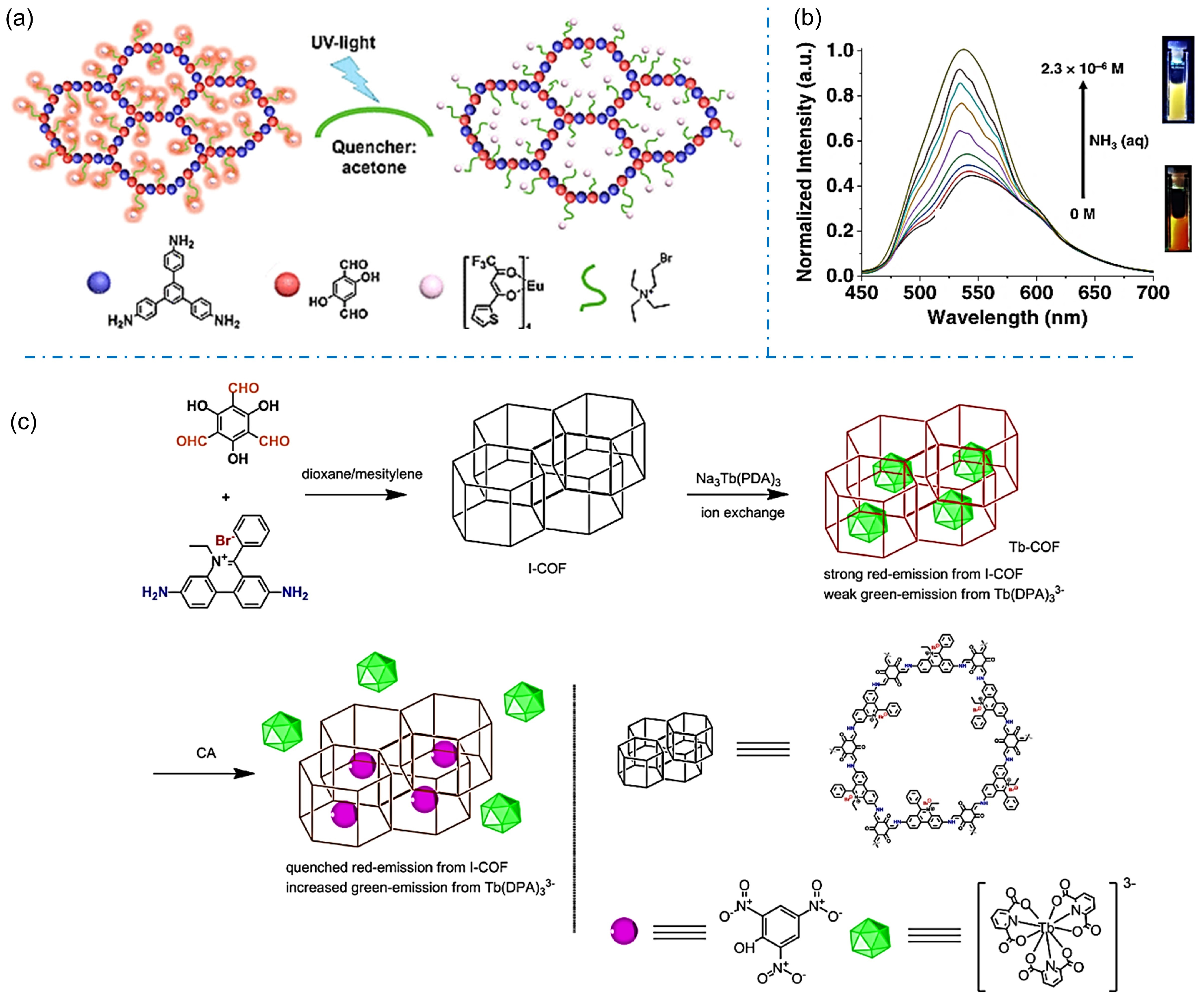 Biosensors 13 00636 g011