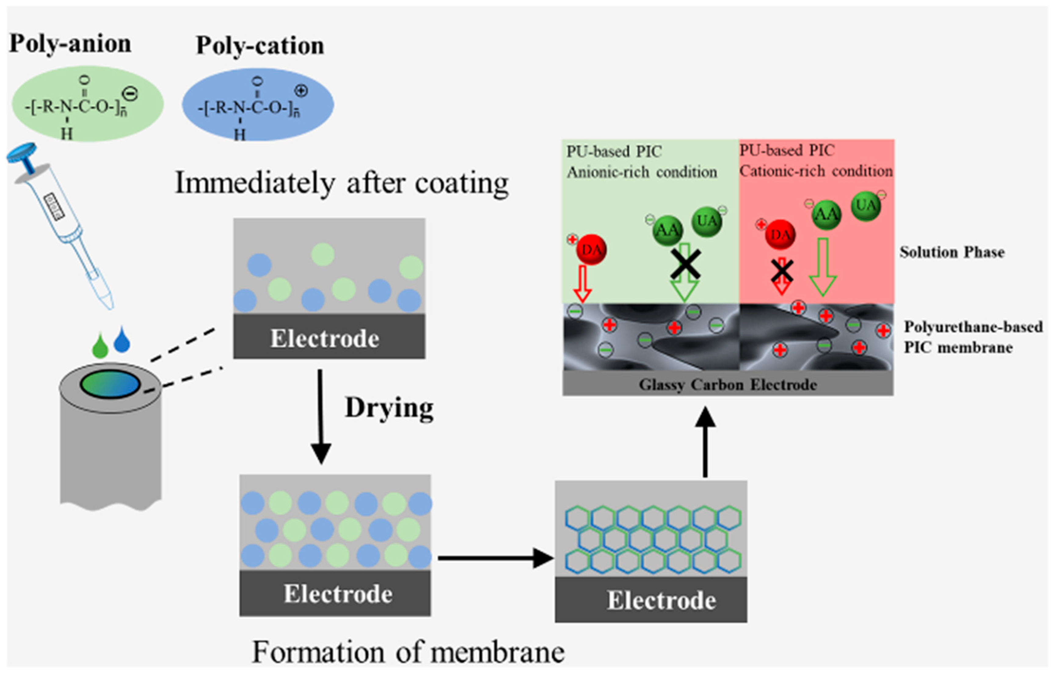 Biosensors 13 00638 g001