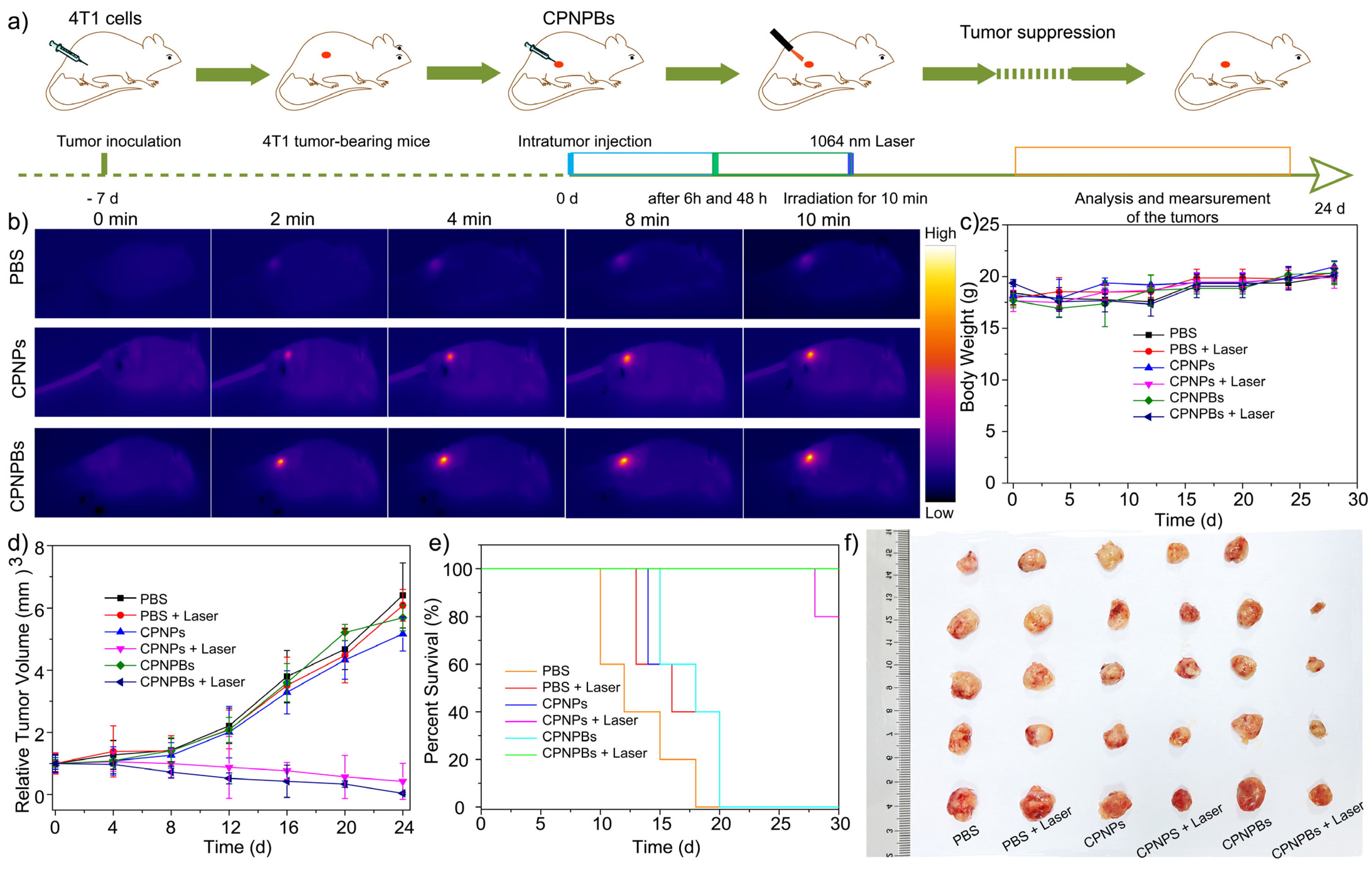 Biosensors 13 00642 g006