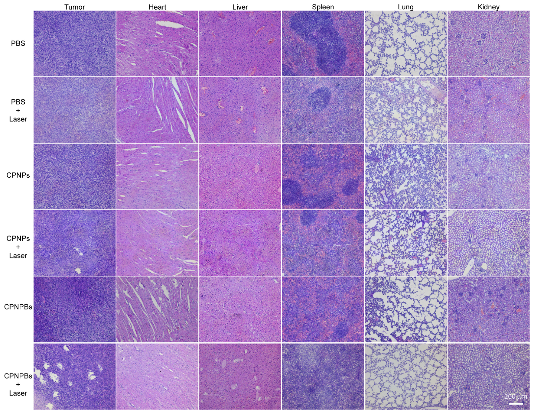 Biosensors 13 00642 g007