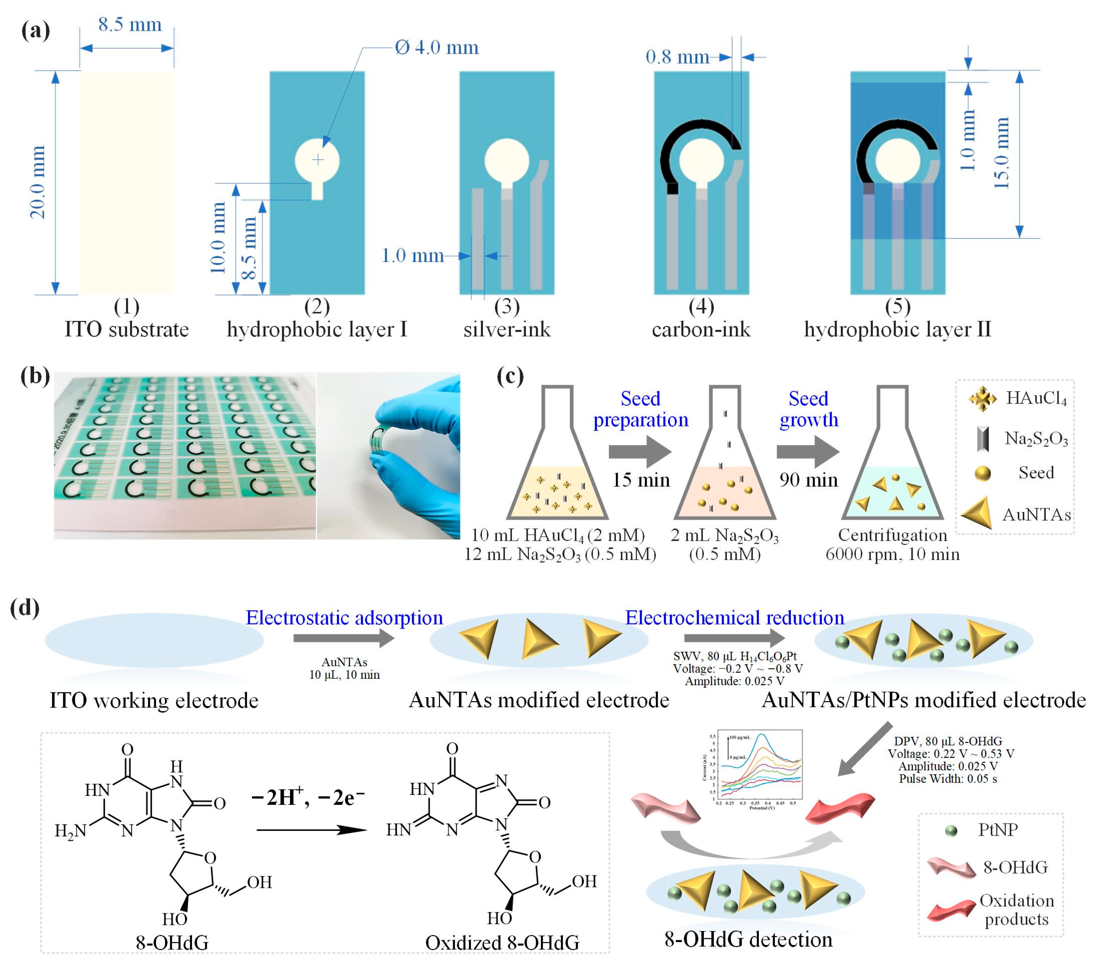 Biosensors 13 00643 g001 Biosensors 13 00643 g001