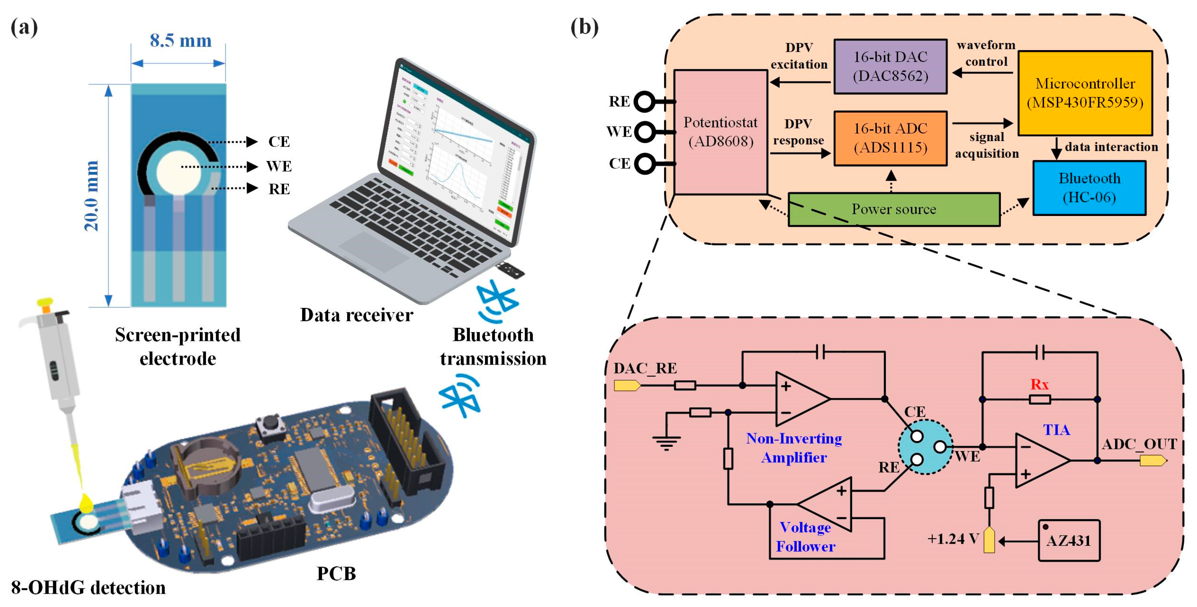 Biosensors 13 00643 g002 Biosensors 13 00643 g002