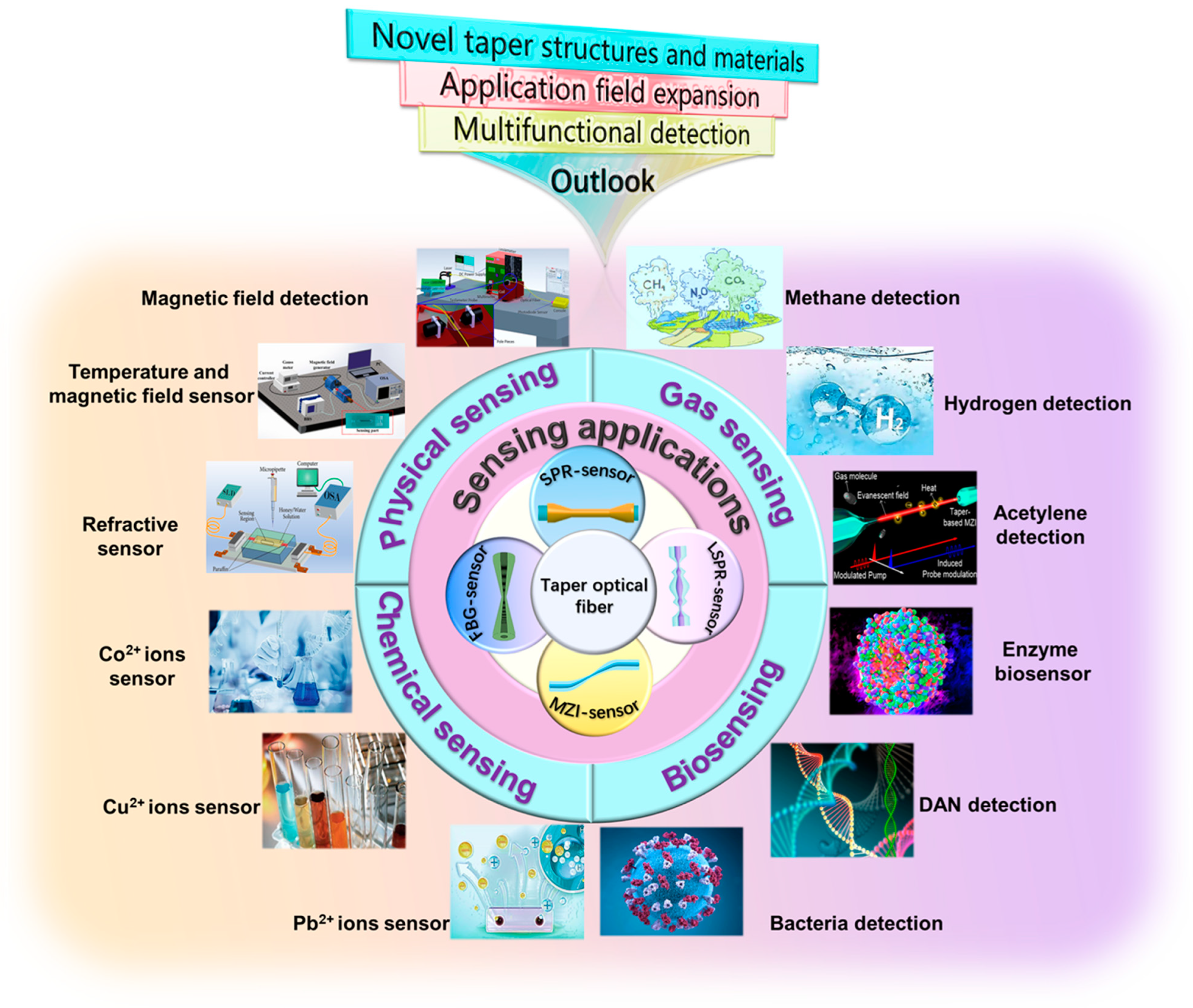Biosensors 13 00644 g001