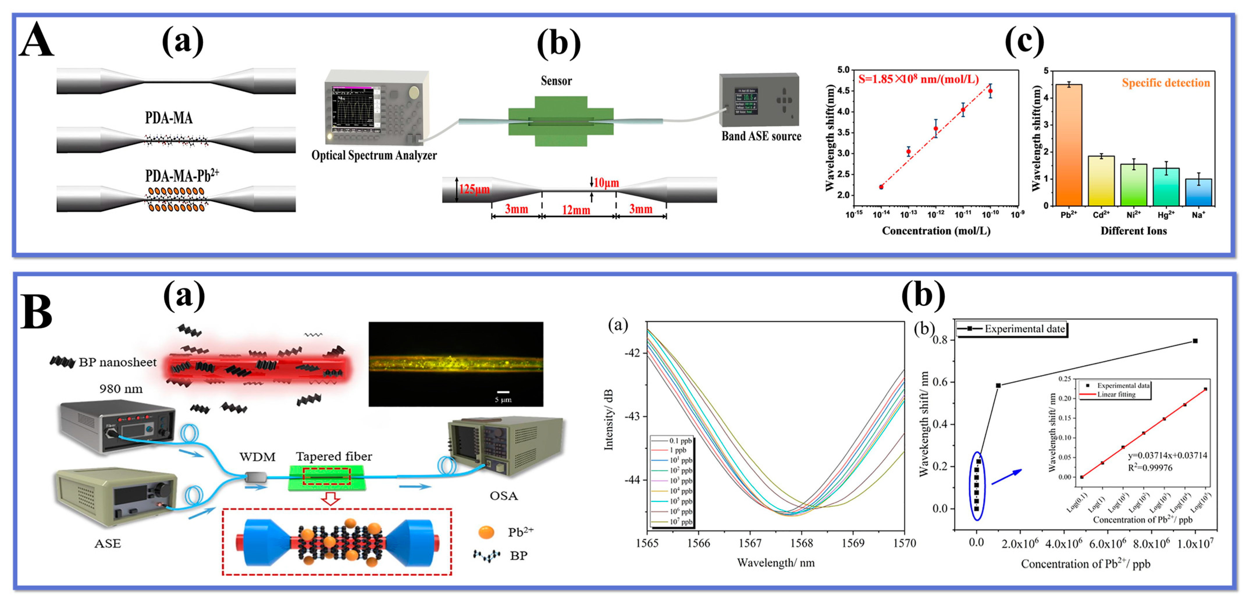 Biosensors 13 00644 g006