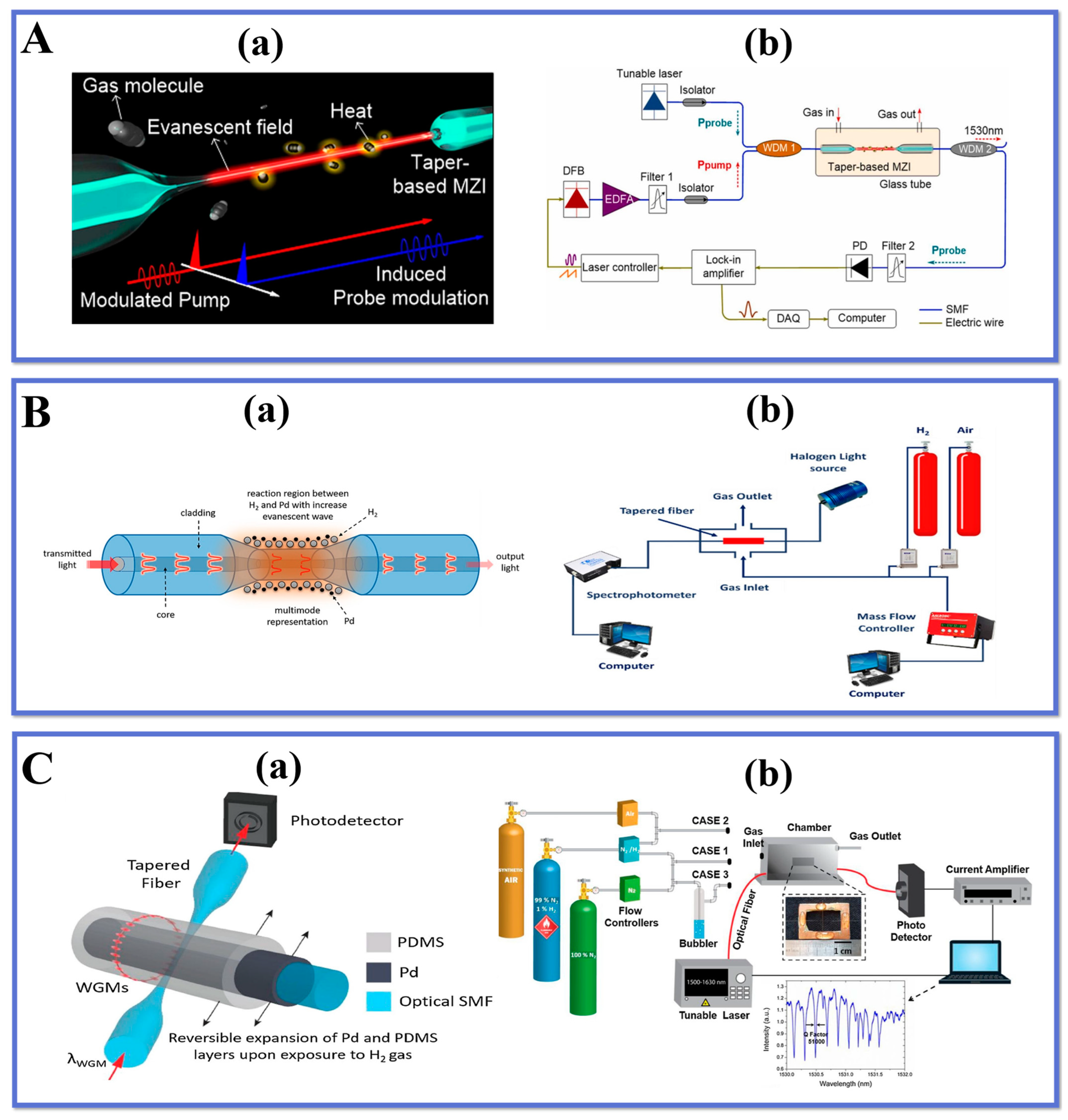 Biosensors 13 00644 g007