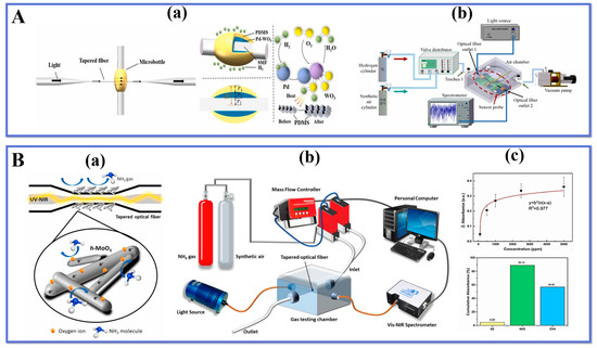 Biosensors 13 00644 g008