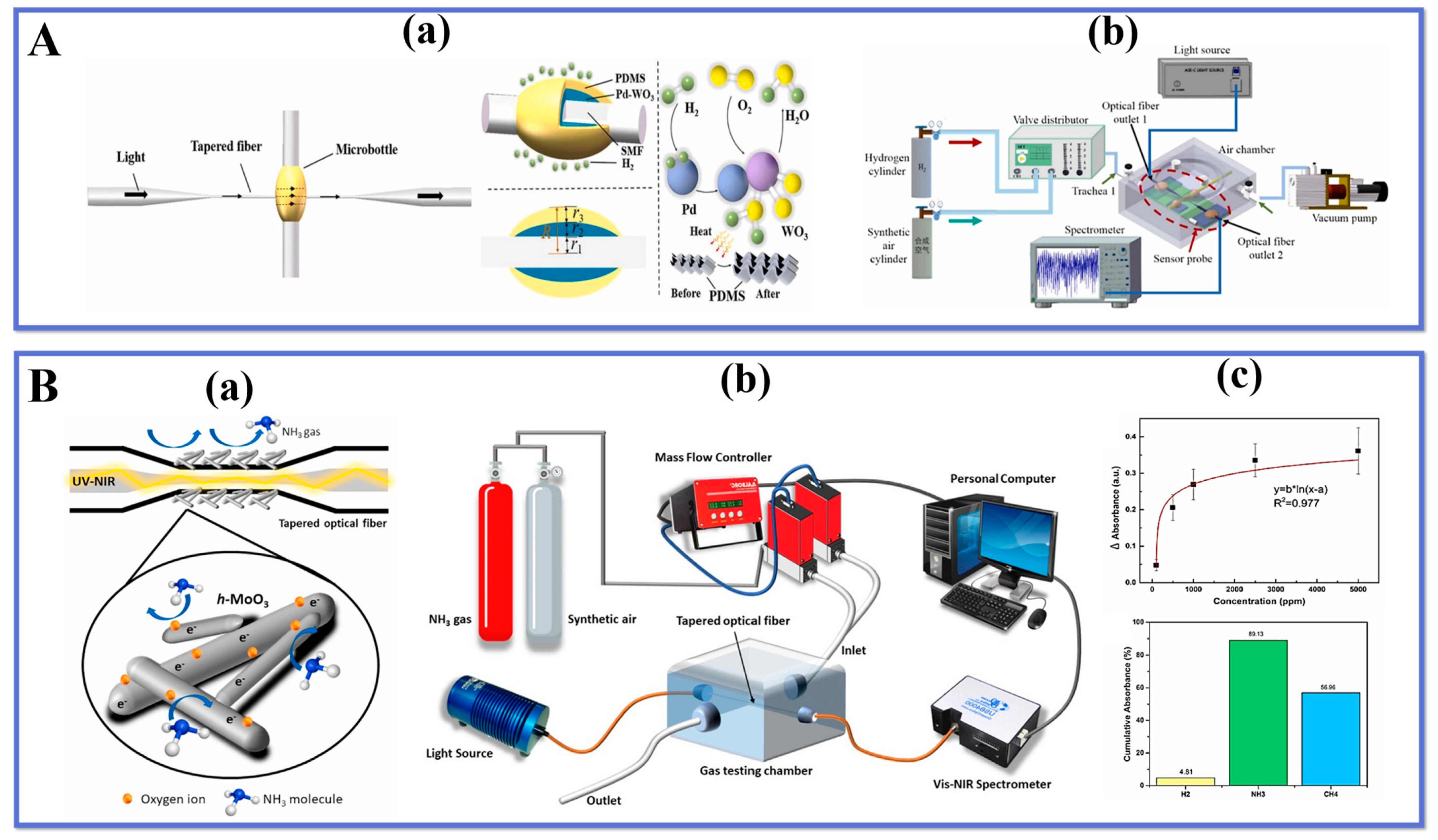 Biosensors 13 00644 g008
