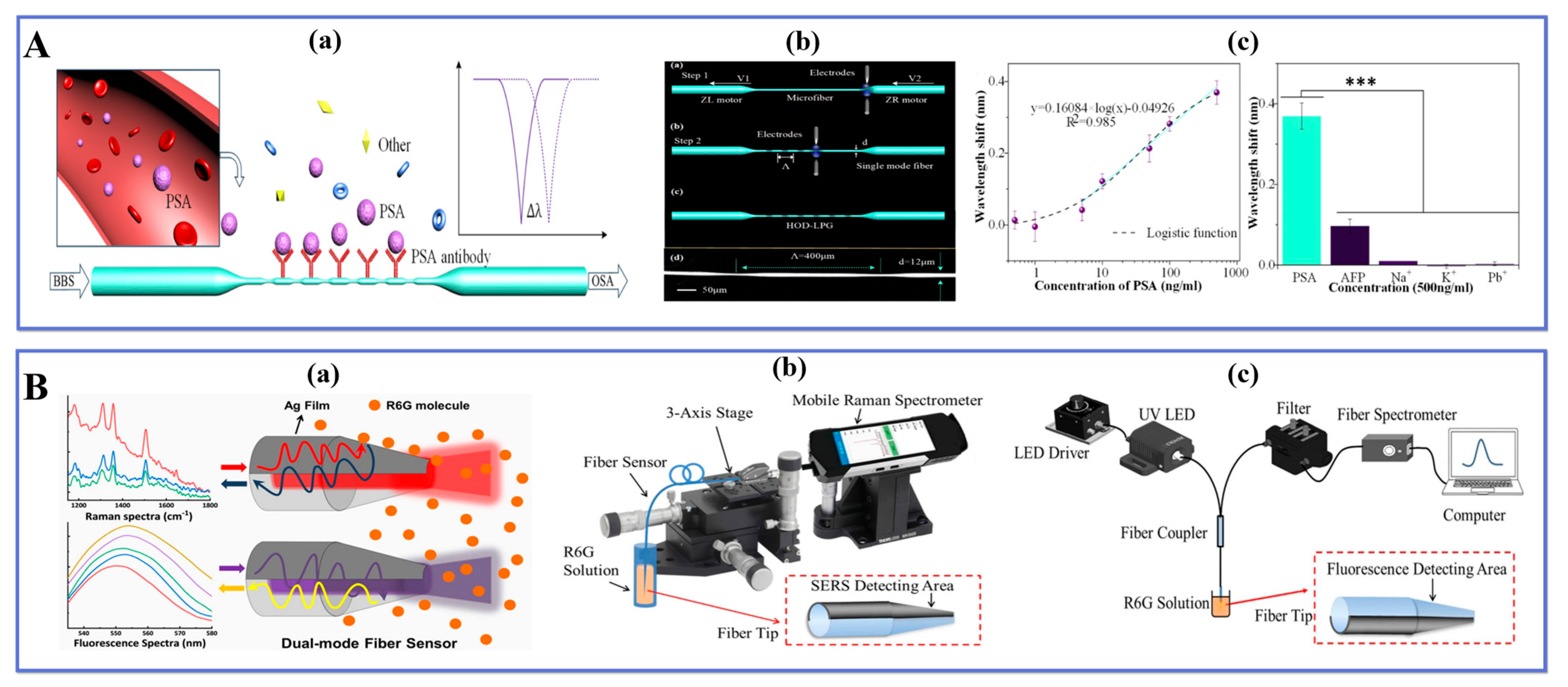 Biosensors 13 00644 g010