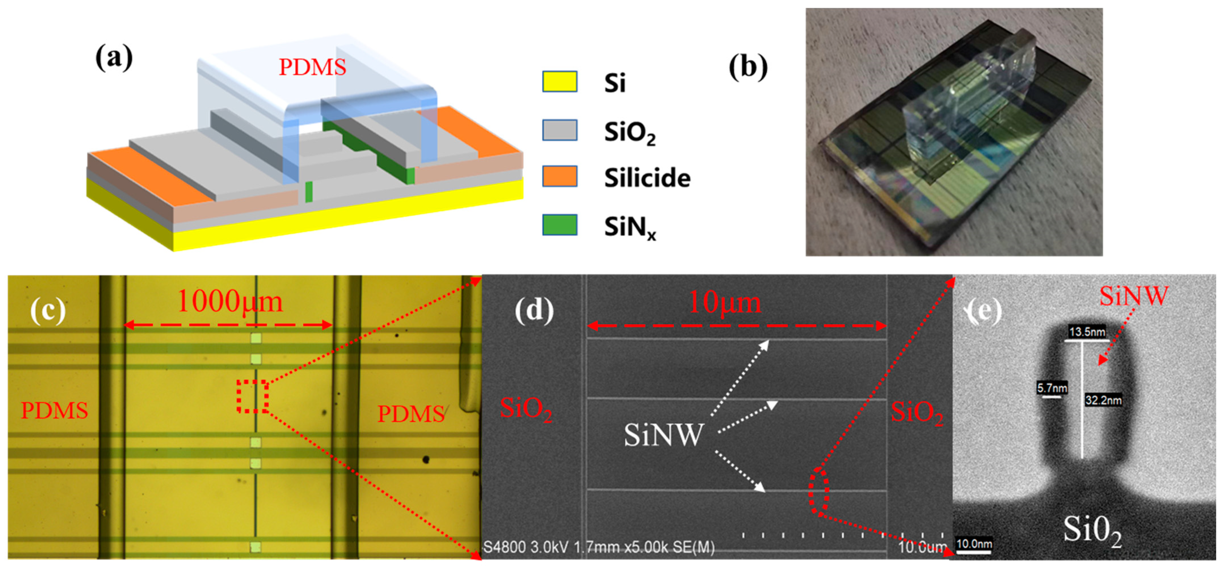 Biosensors 13 00645 g004