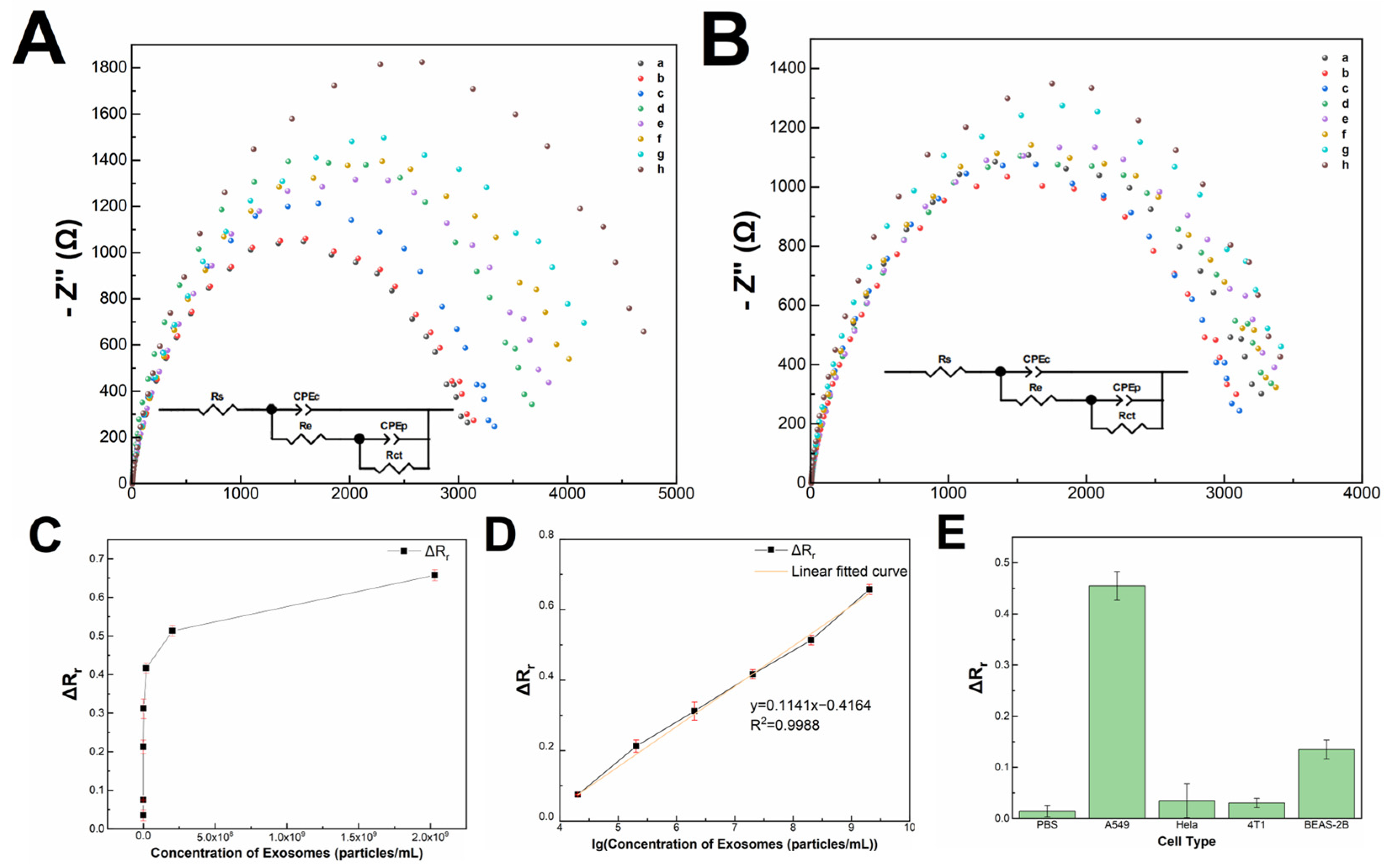 Biosensors 13 00647 g004