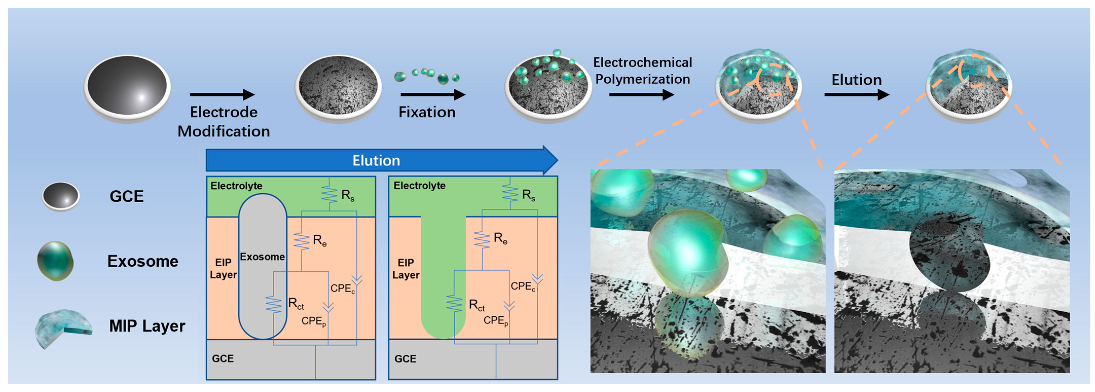 Biosensors 13 00647 sch001
