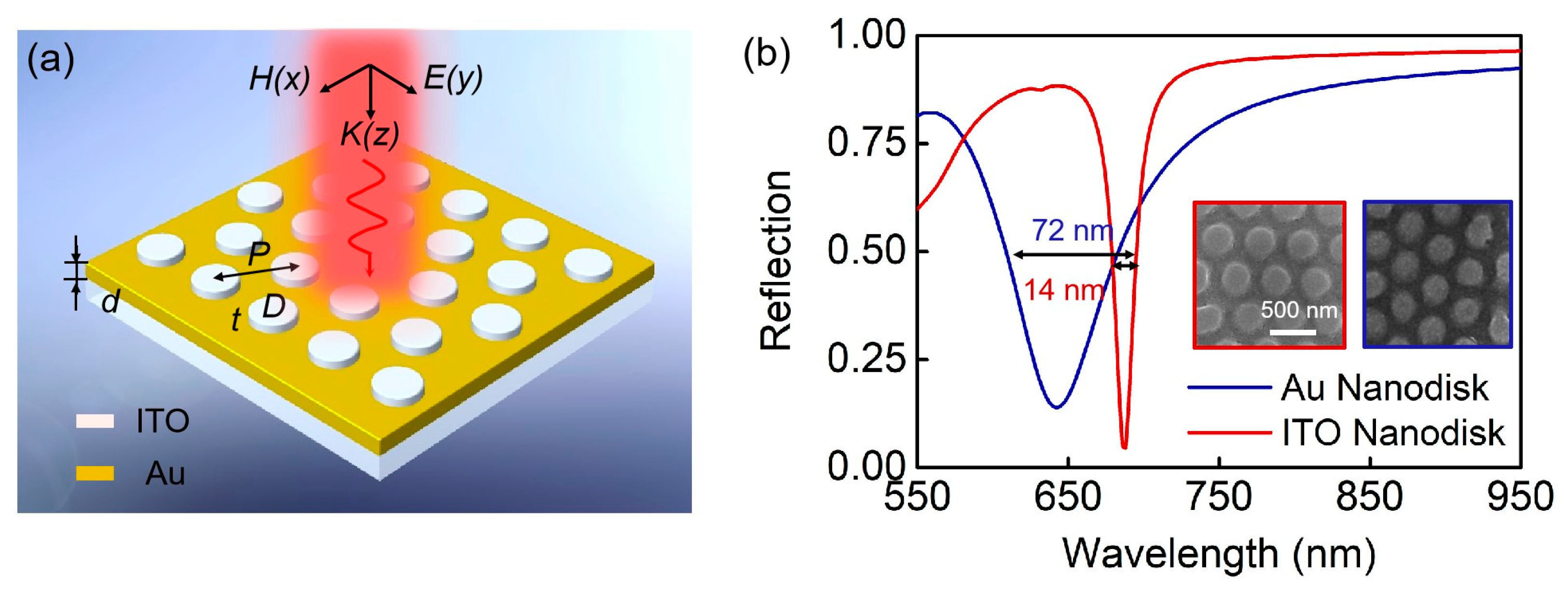 Biosensors 13 00649 g001