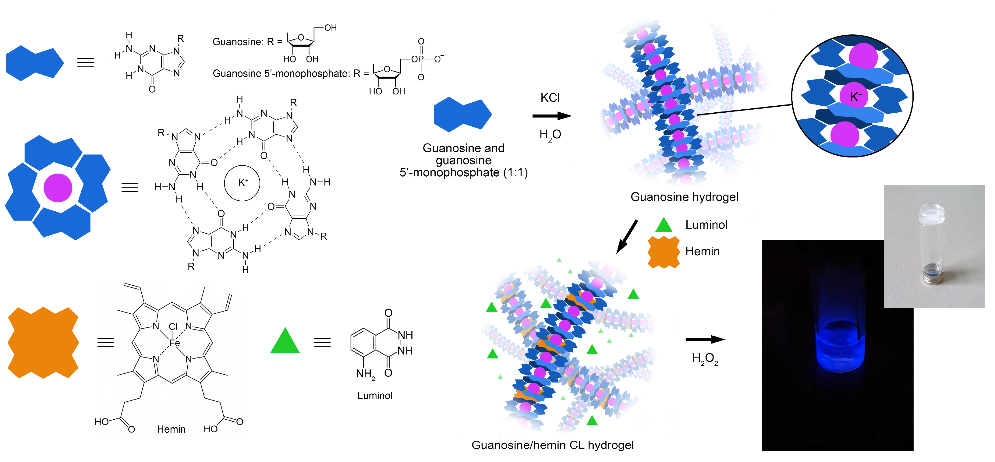 Biosensors 13 00650 g001
