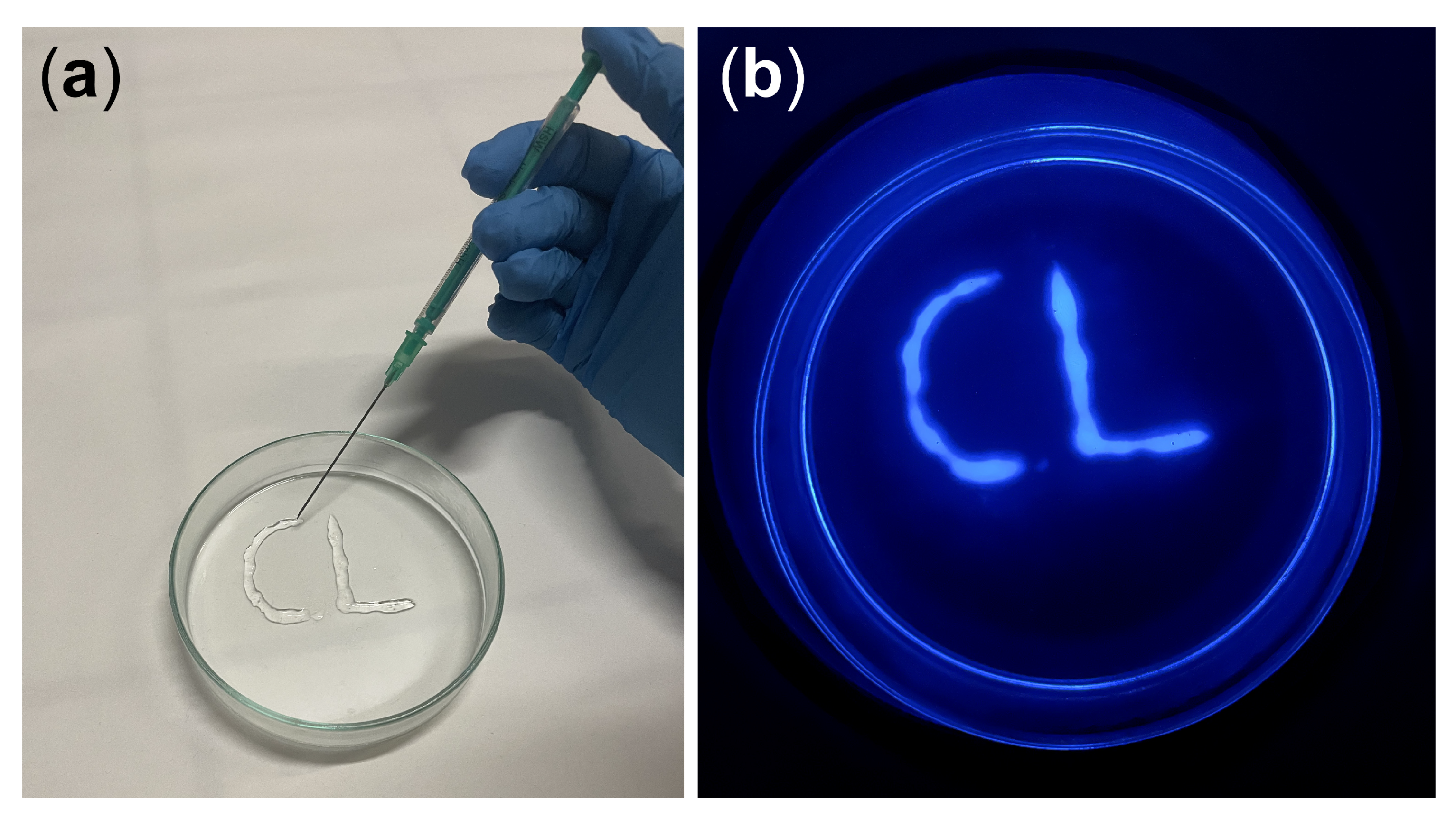 Biosensors 13 00650 g008