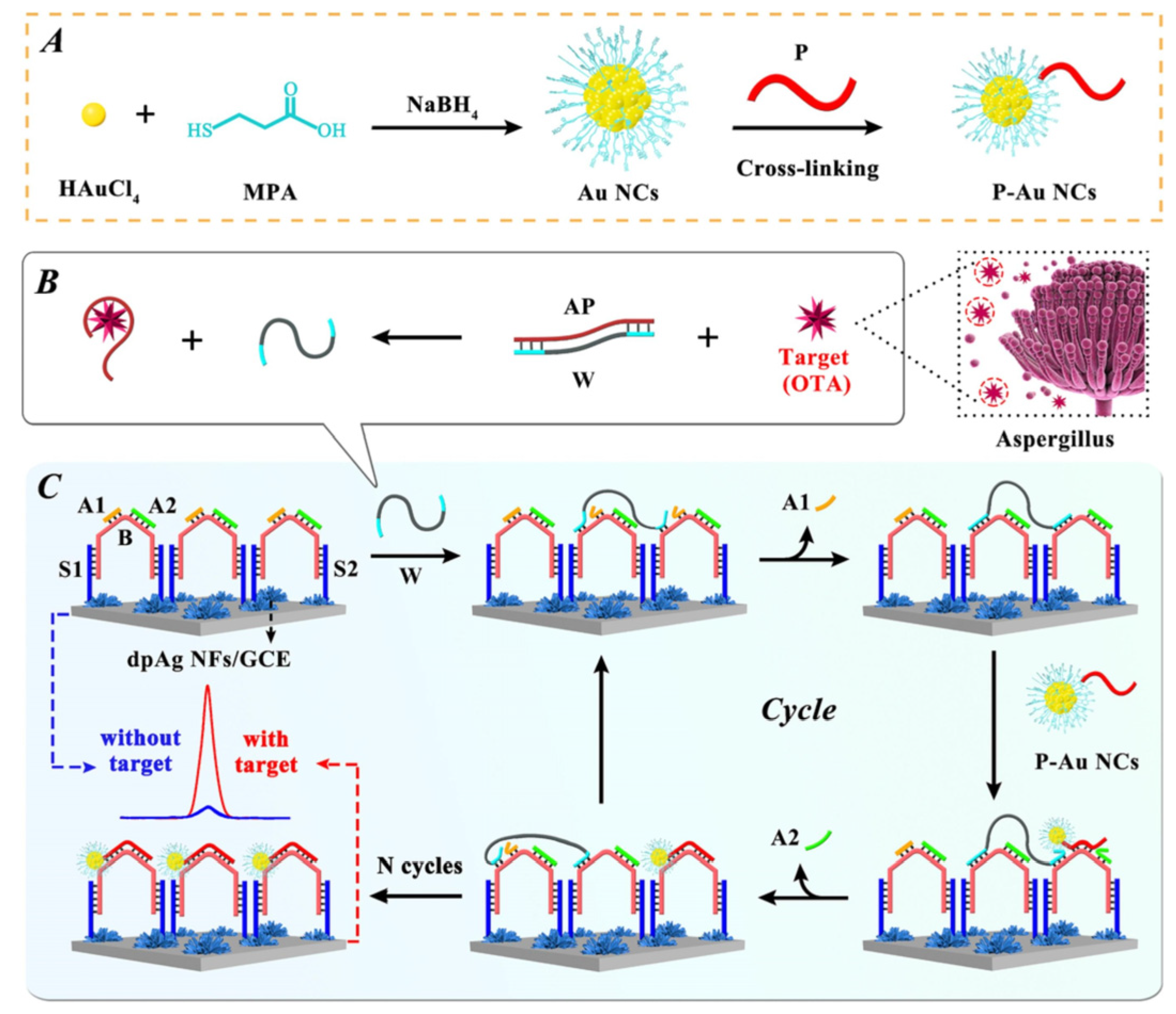 Biosensors 13 00653 g006