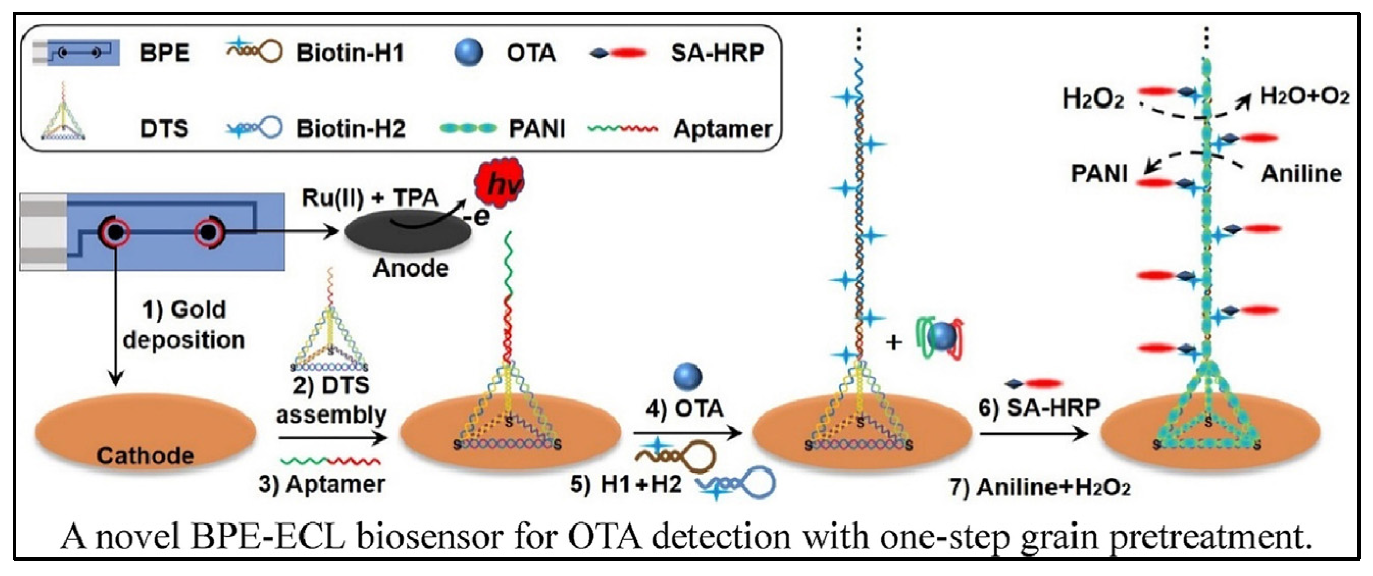 Biosensors 13 00653 g007