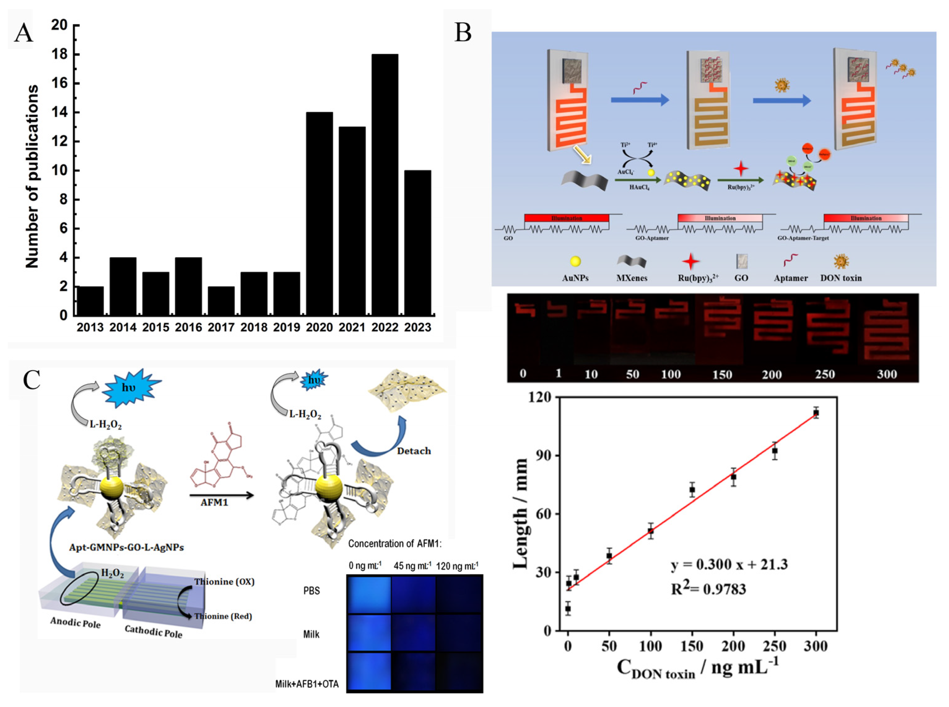 Biosensors 13 00653 g010