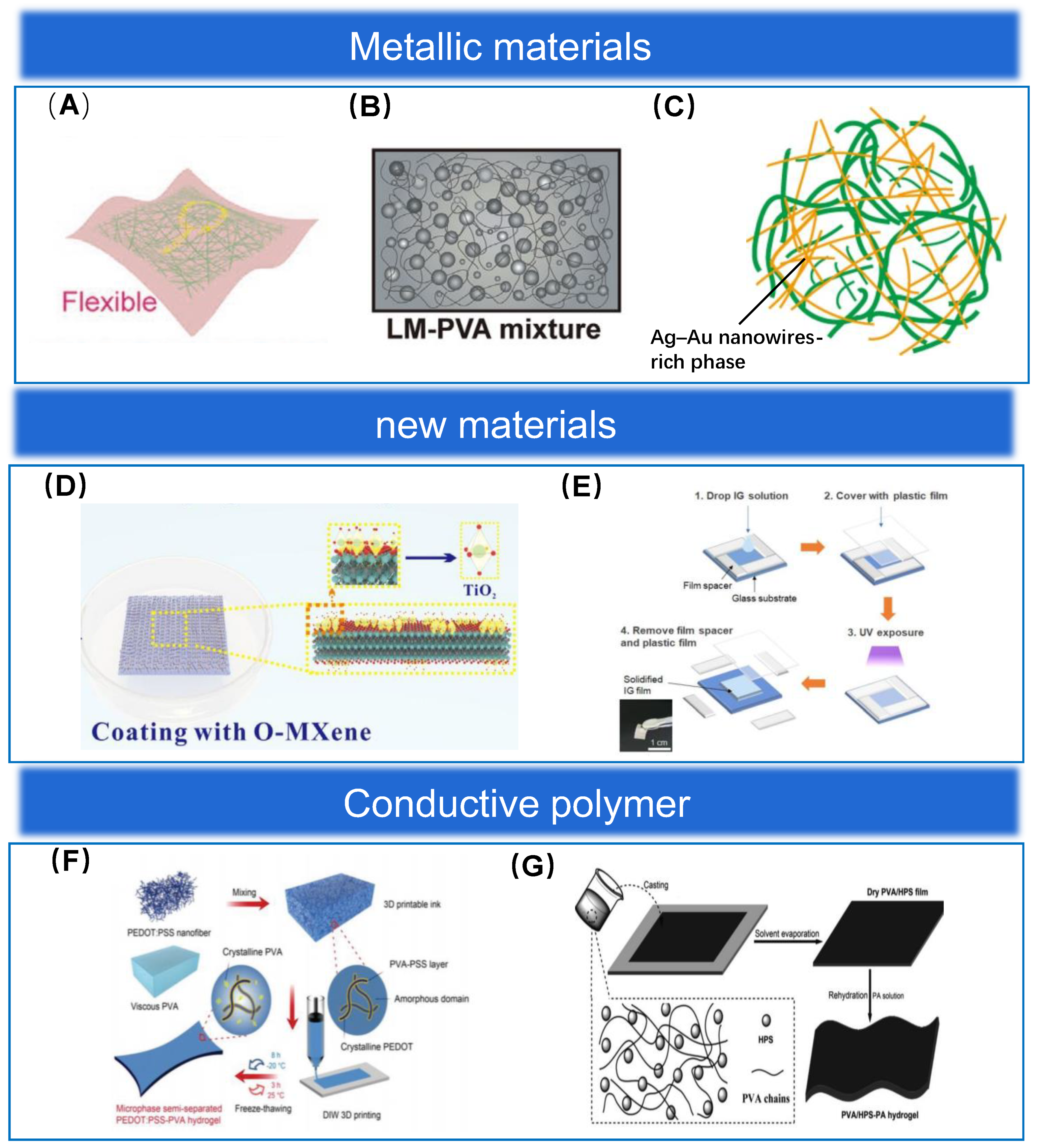 Biosensors 13 00656 g003 Biosensors 13 00656 g003