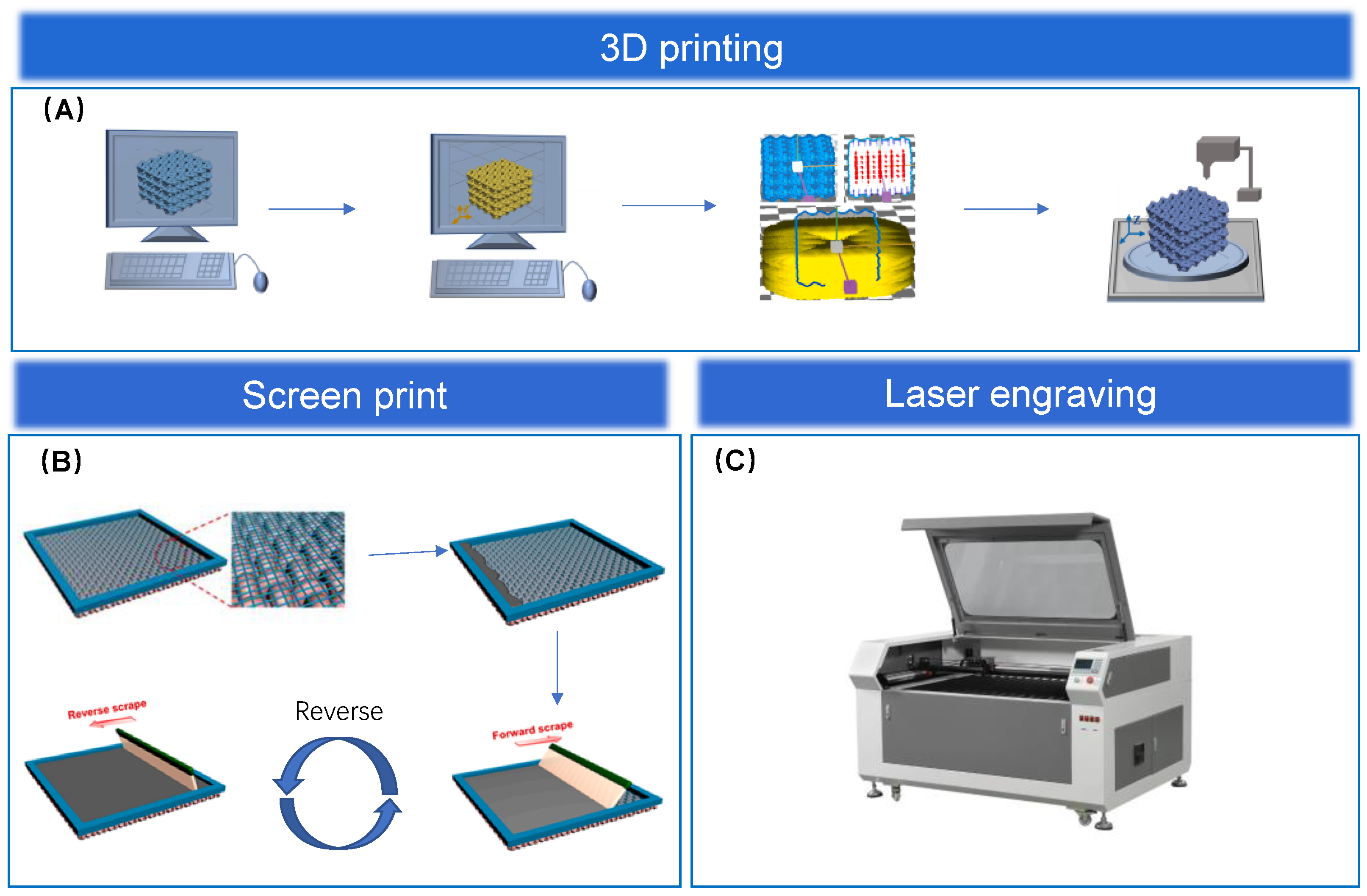 Biosensors 13 00656 g004 Biosensors 13 00656 g004