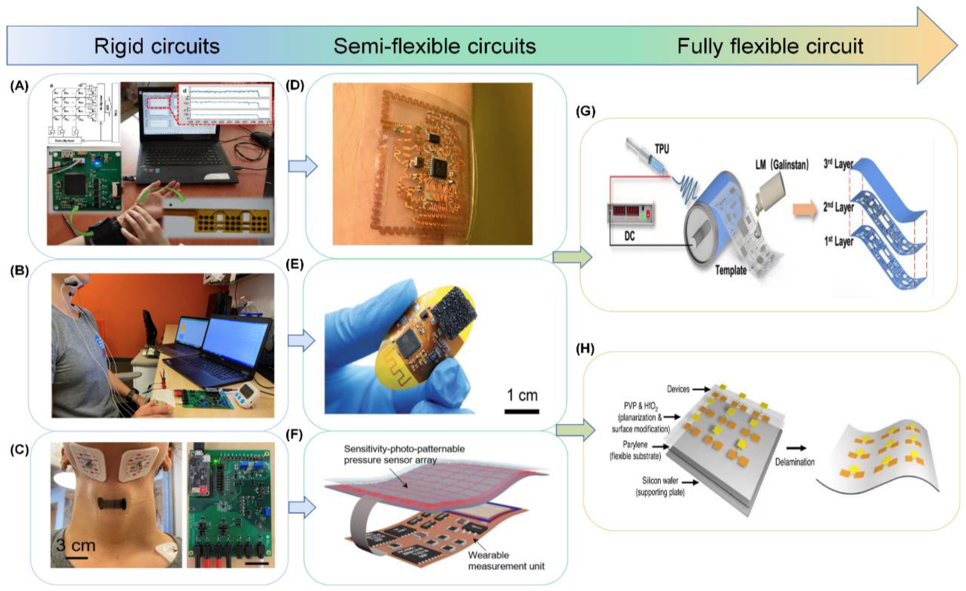 Biosensors 13 00656 g011 Biosensors 13 00656 g011