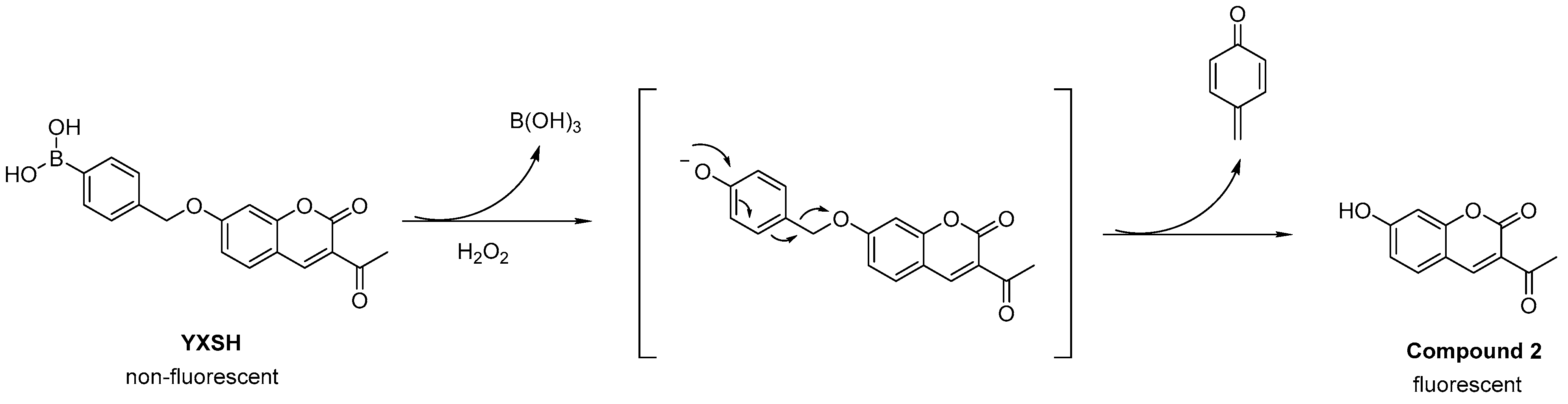 Biosensors 13 00658 g002