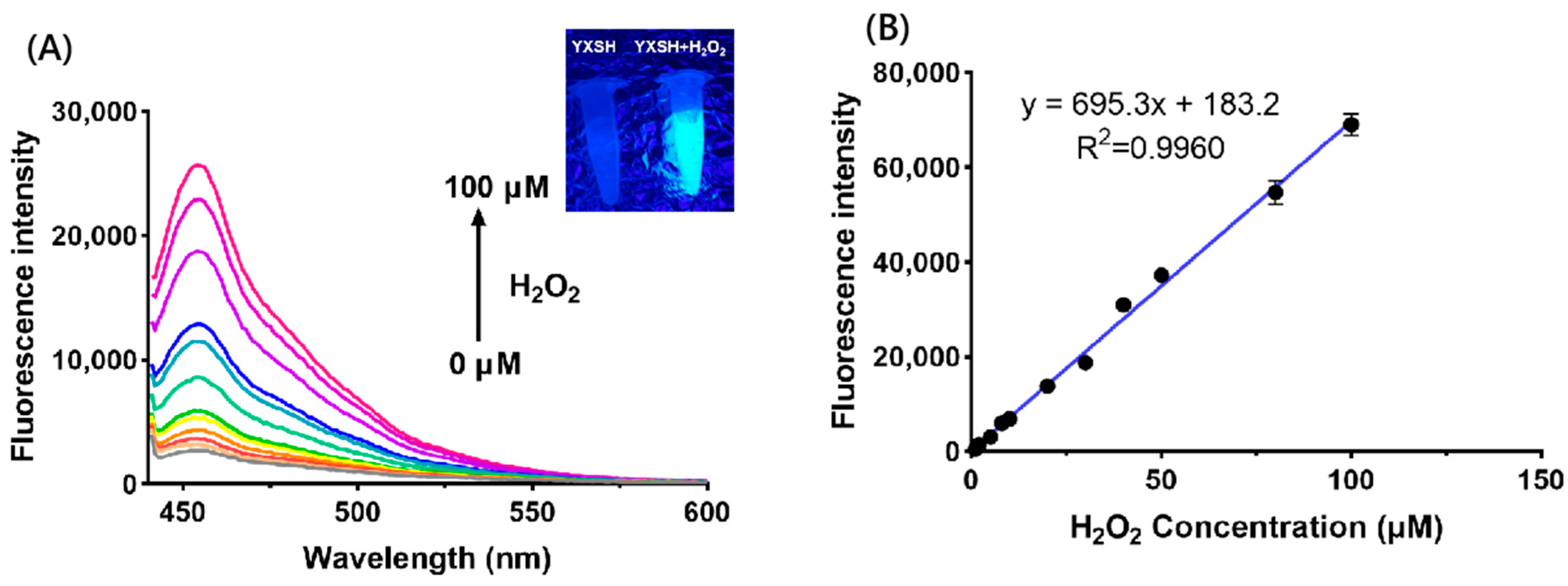 Biosensors 13 00658 g003