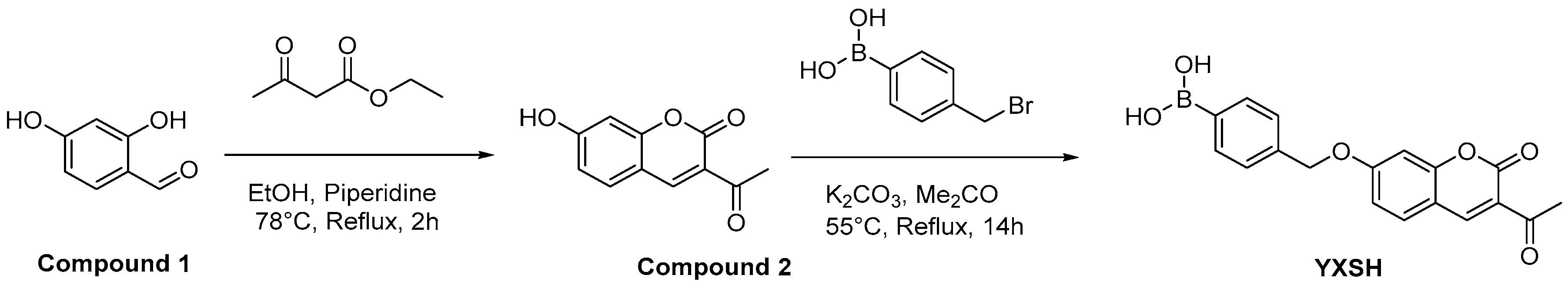 Biosensors 13 00658 sch001