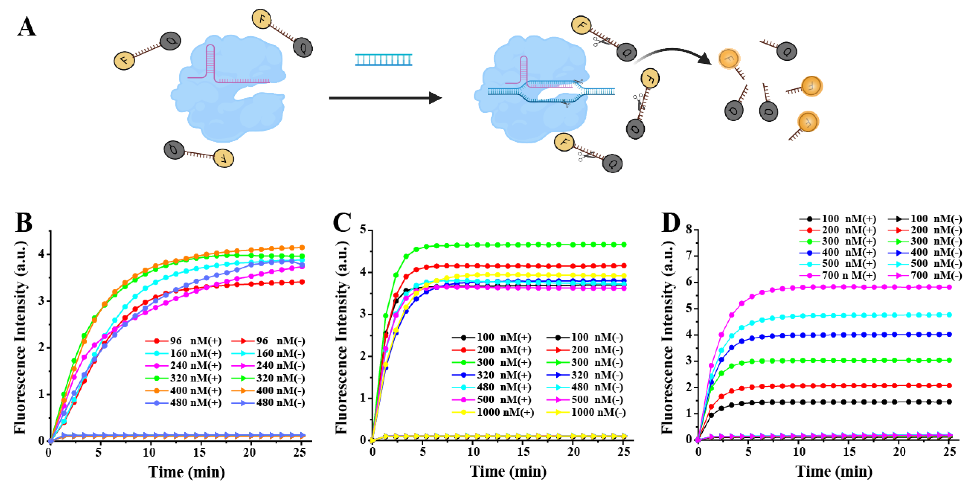 Biosensors 13 00659 g002