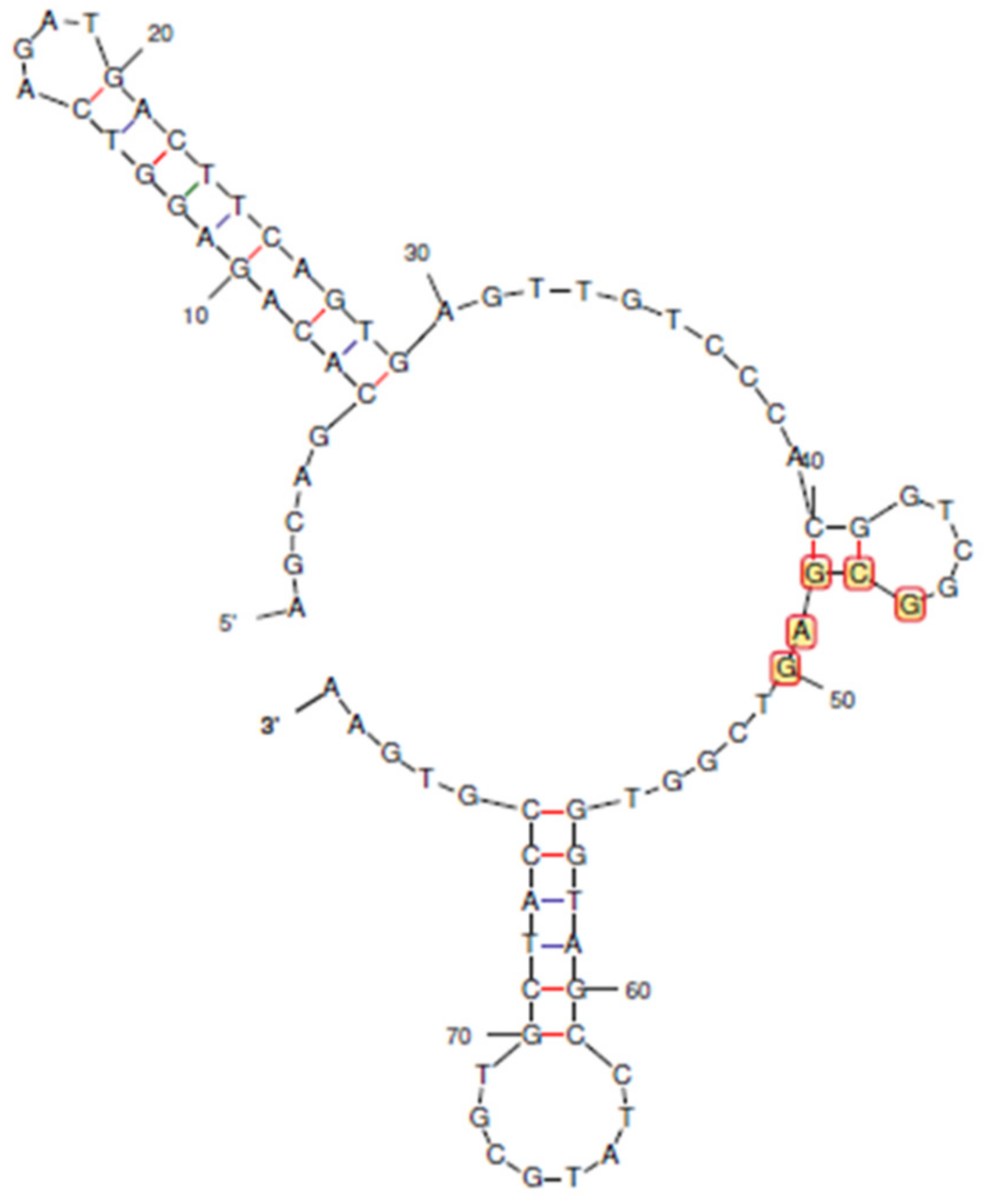 Biosensors 13 00660 g001 Biosensors 13 00660 g001