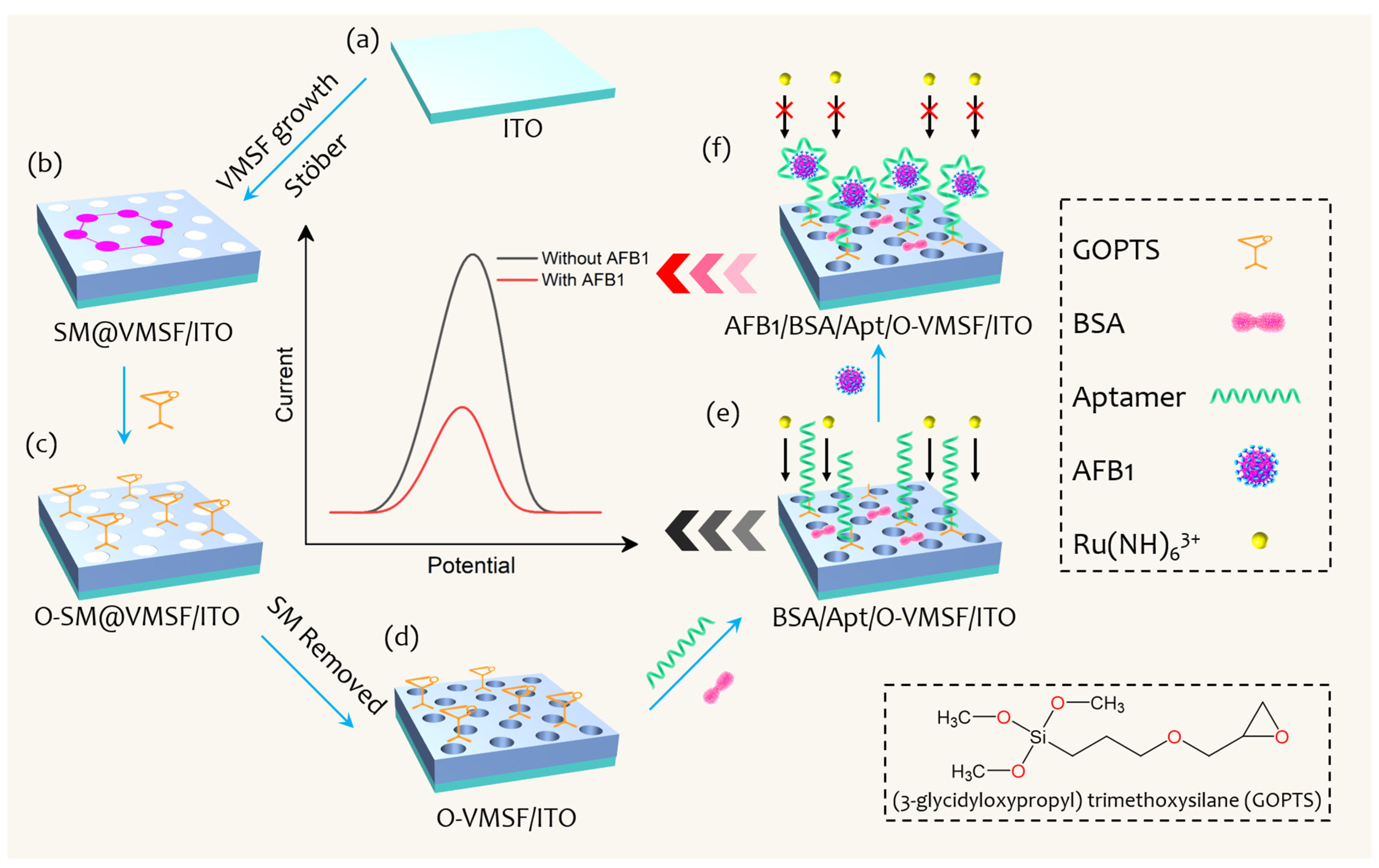 Biosensors 13 00661 g001