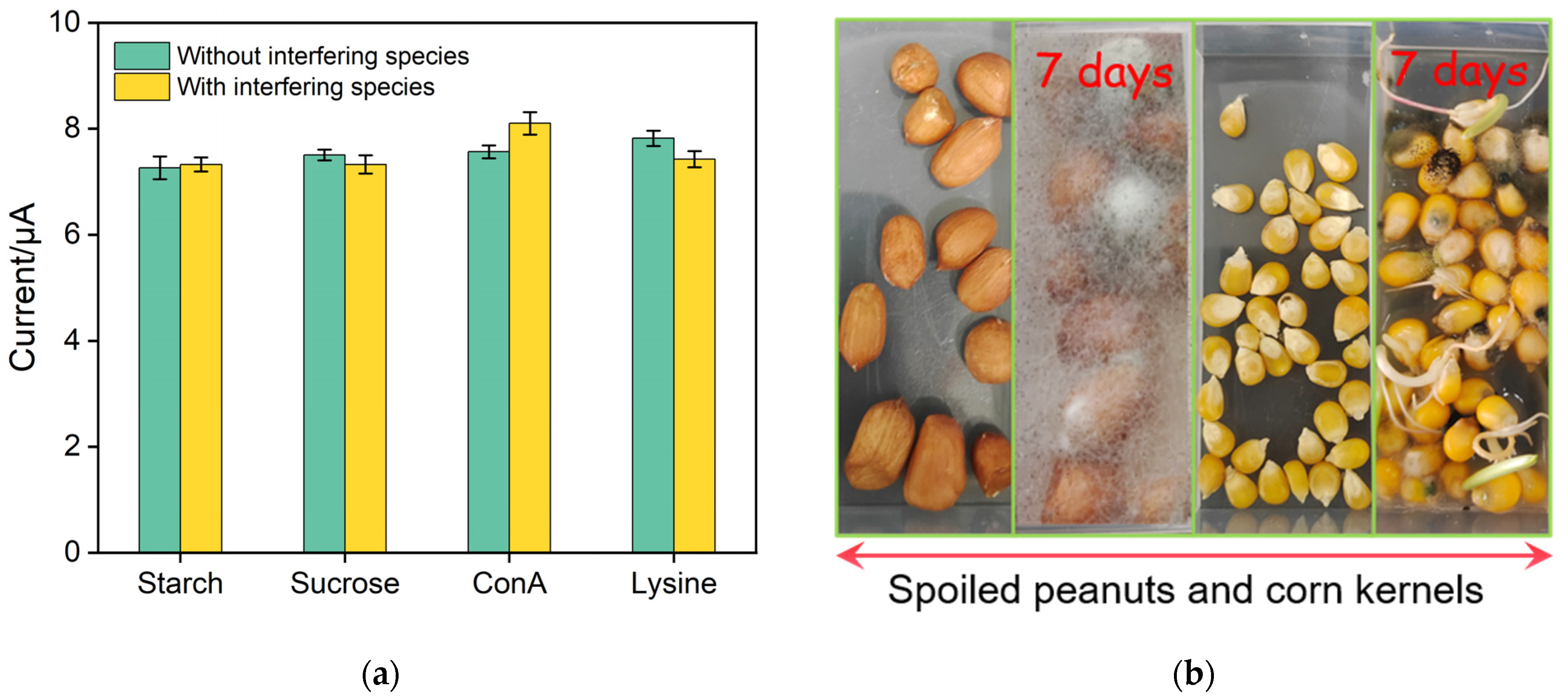 Biosensors 13 00661 g007