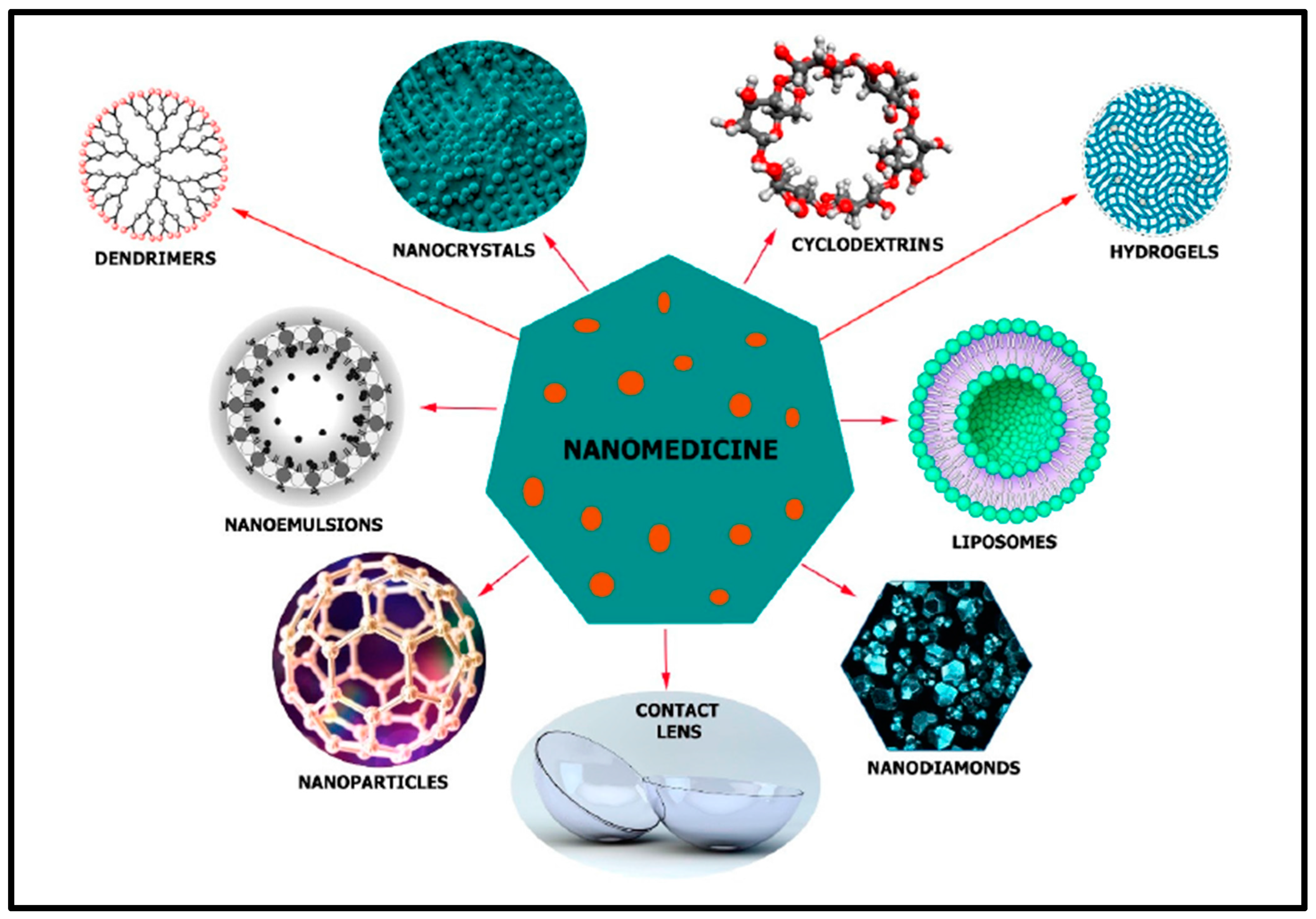 Biosensors 13 00663 g010