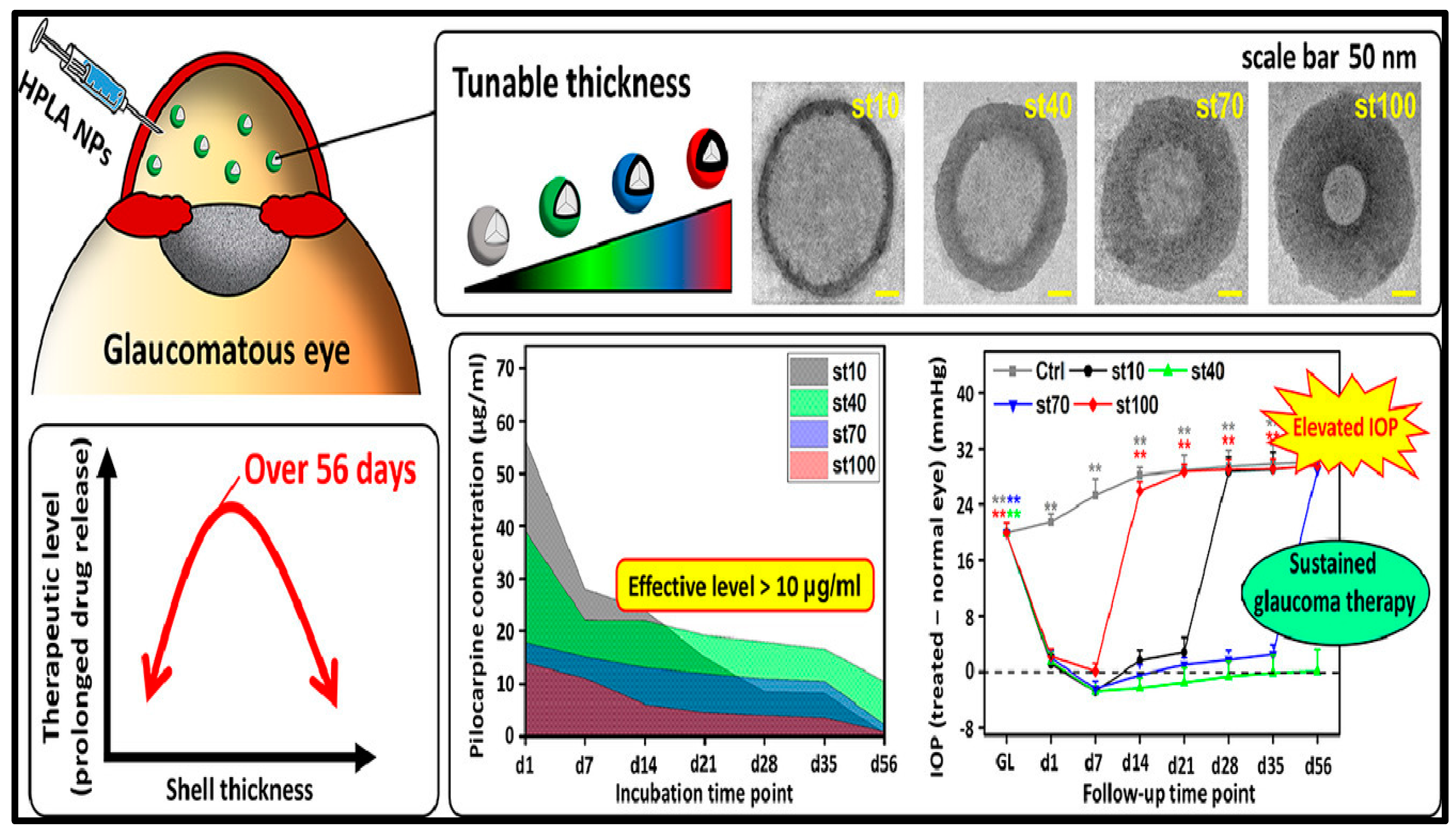 Biosensors 13 00663 g011